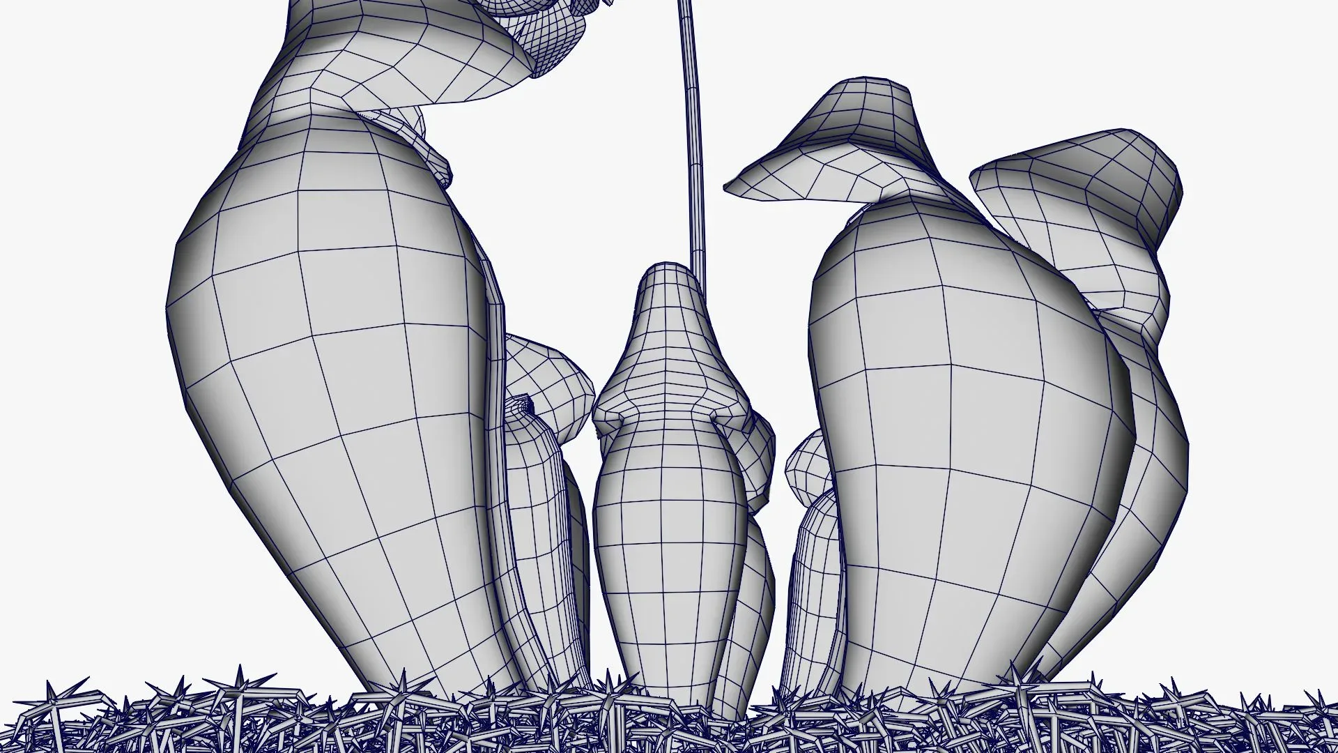 Sarracenia purpurea