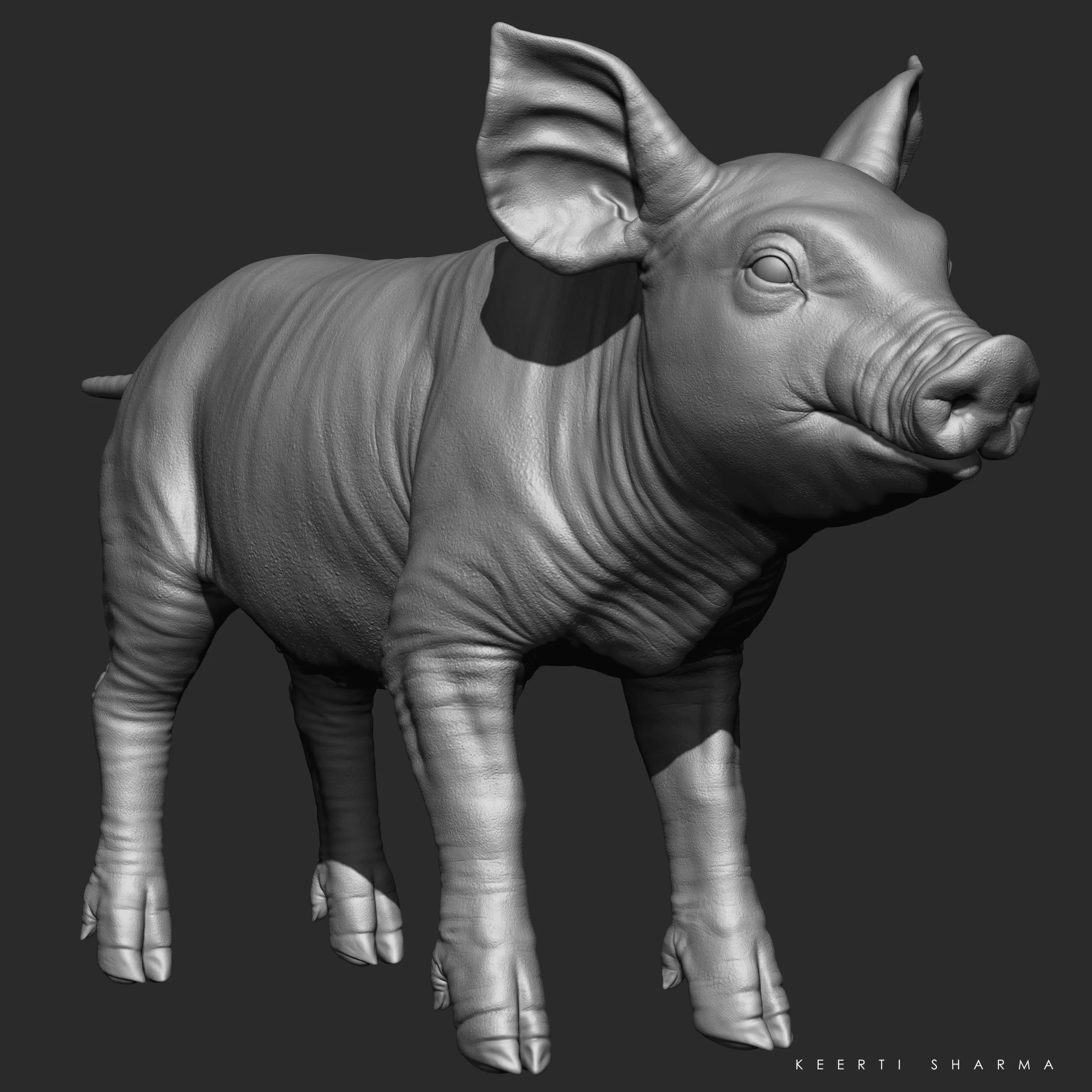 Highpoly Realistic Pig Sculpted in Zbrush 2019