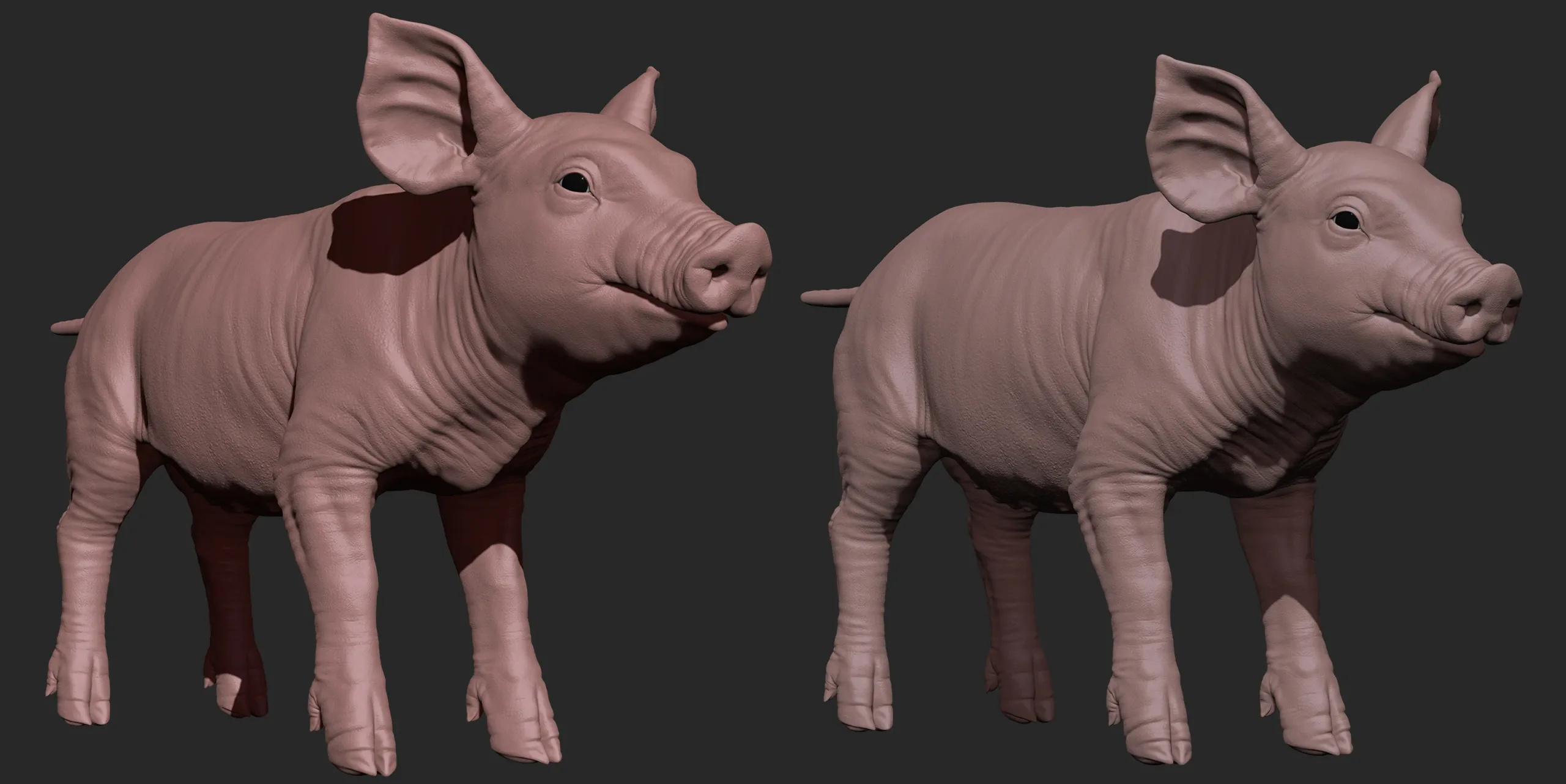 Highpoly Realistic Pig Sculpted in Zbrush 2019