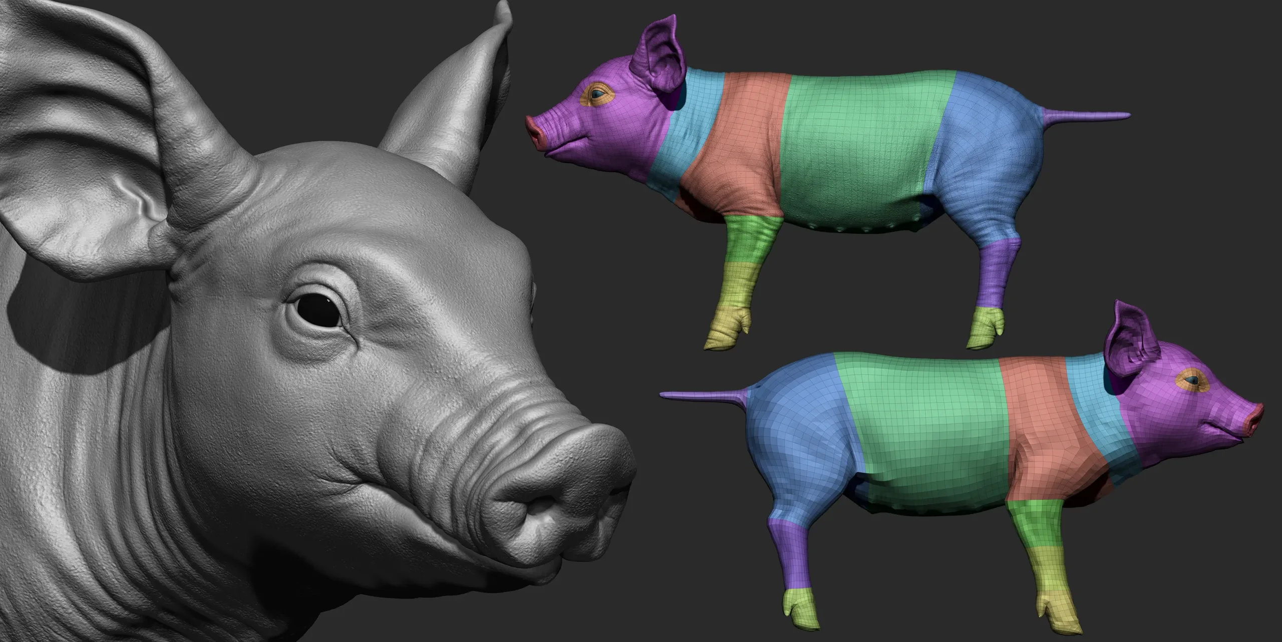 Highpoly Realistic Pig Sculpted in Zbrush 2019