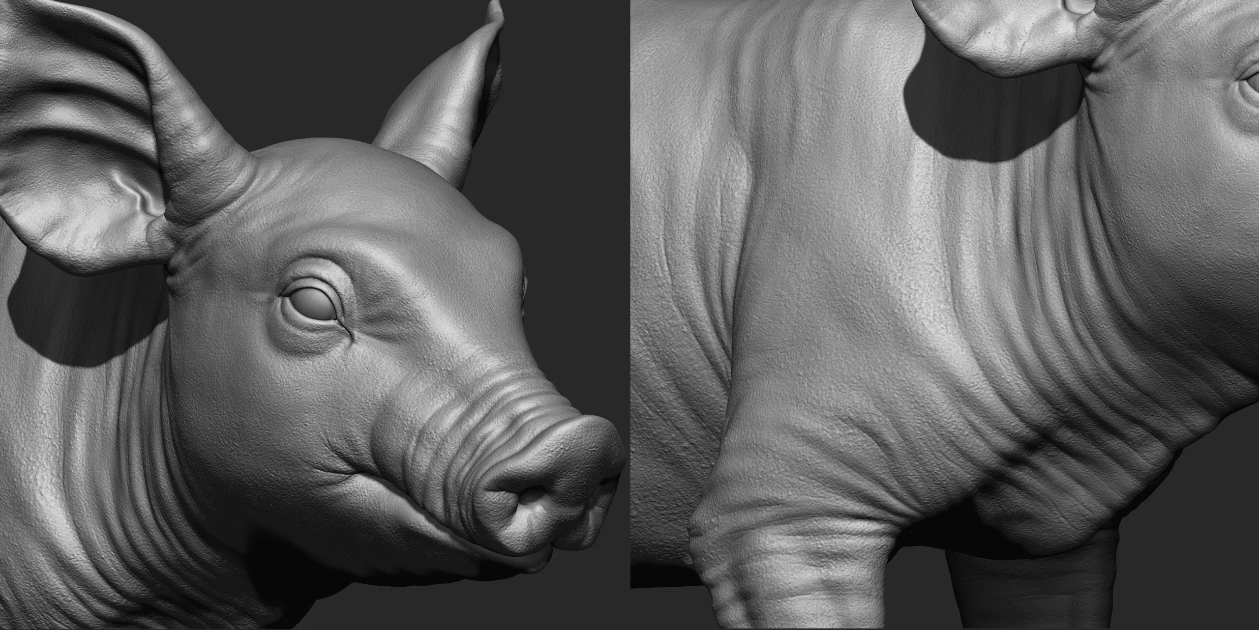 Highpoly Realistic Pig Sculpted in Zbrush 2019