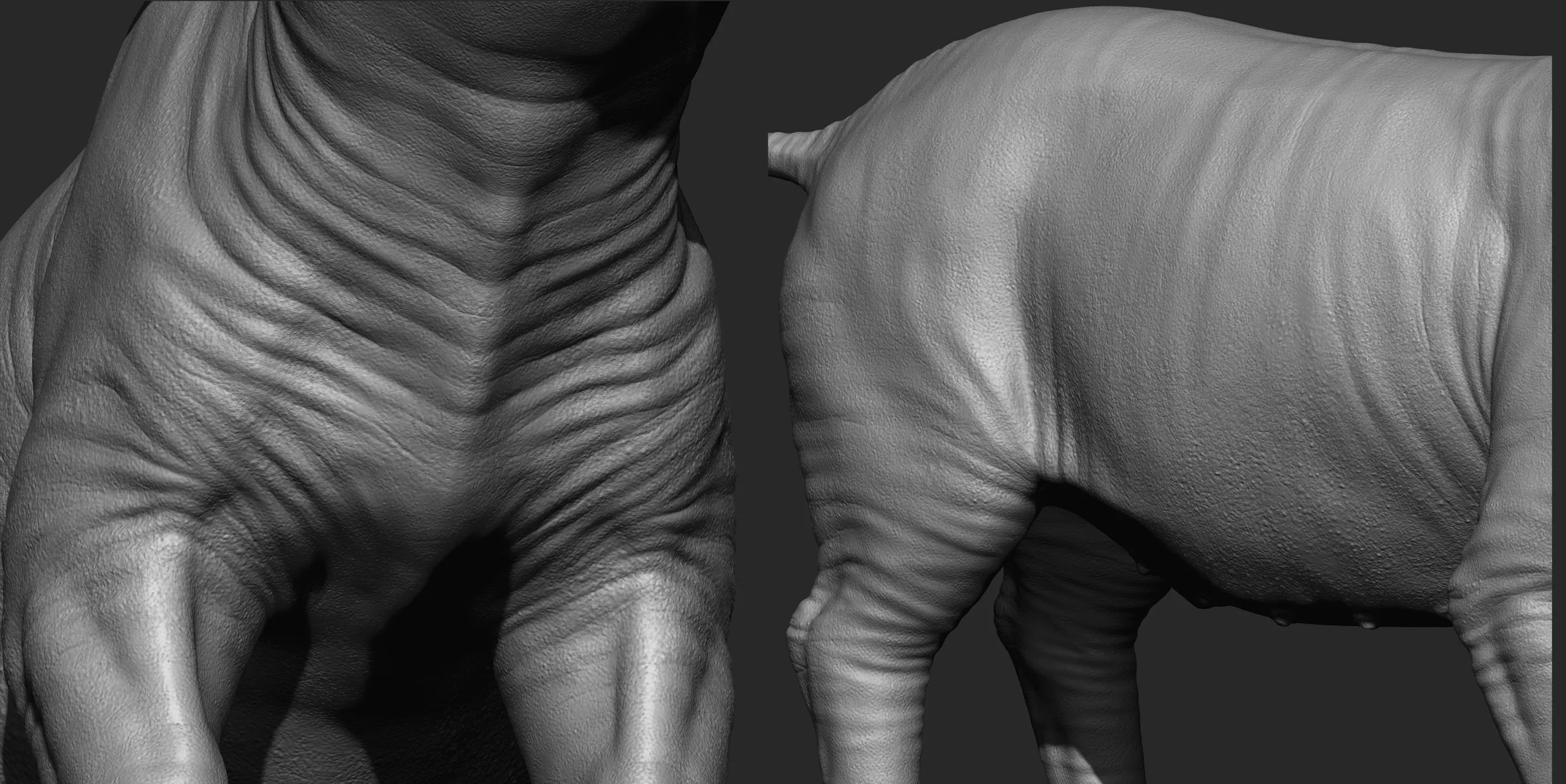 Highpoly Realistic Pig Sculpted in Zbrush 2019