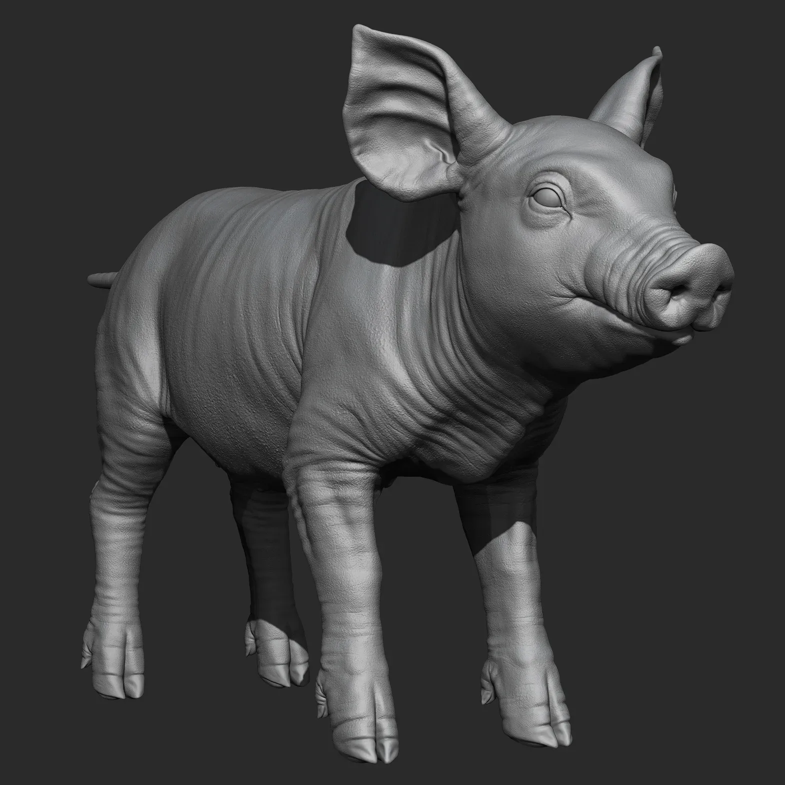 Highpoly Realistic Pig Sculpted in Zbrush 2019