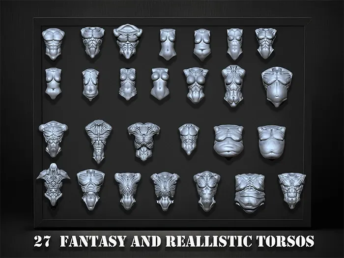 27 Fantasy and Realistic Torsos