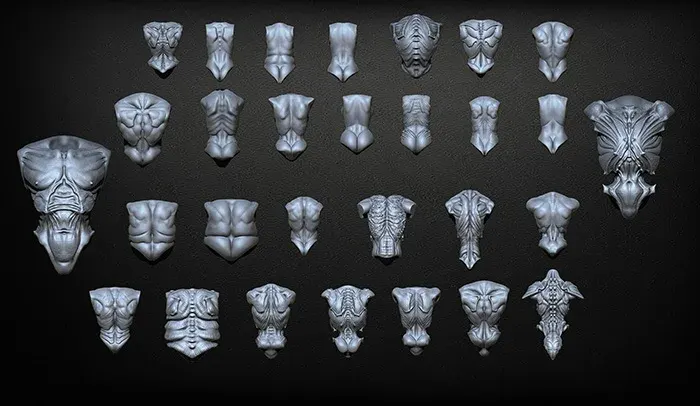 27 Fantasy and Realistic Torsos