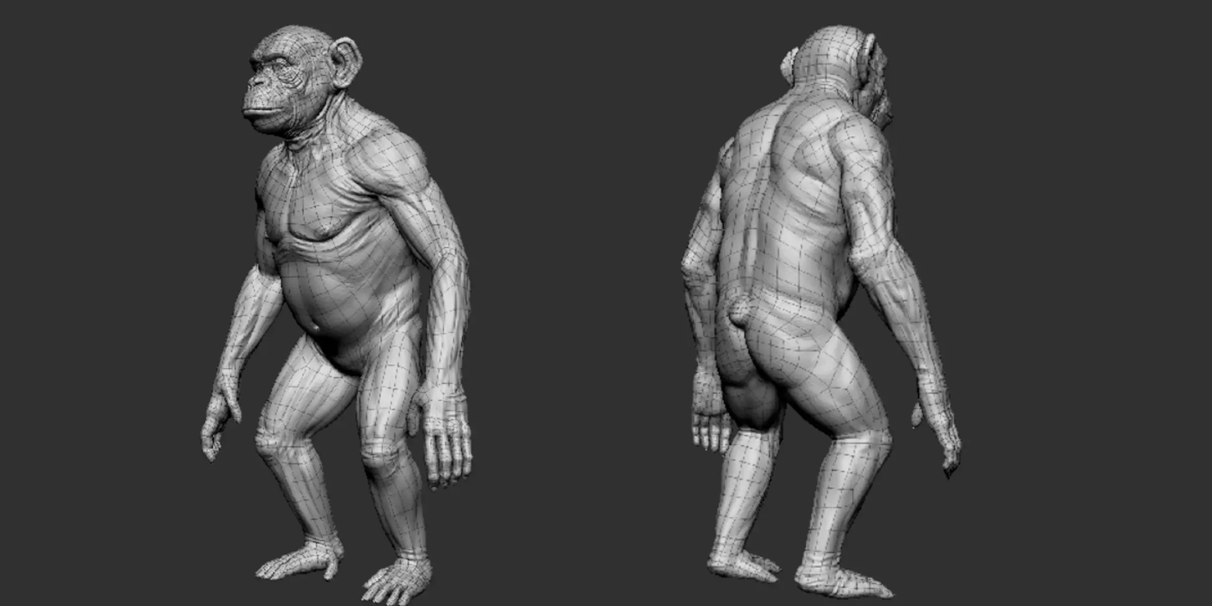 Chimpanzee - Topology + UV Map