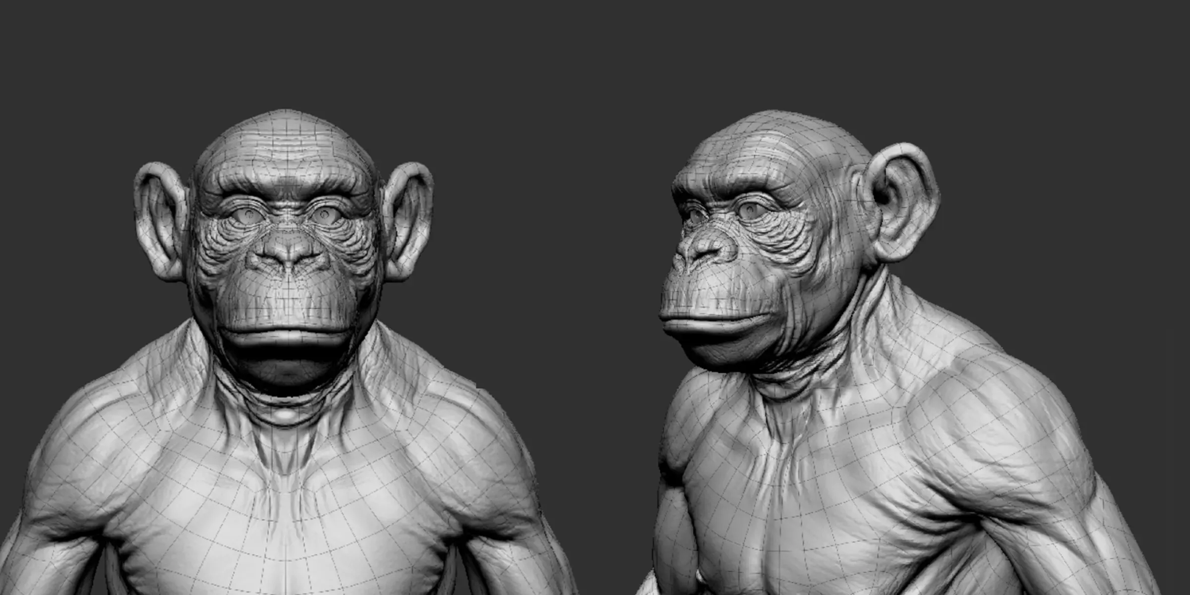 Chimpanzee - Topology + UV Map