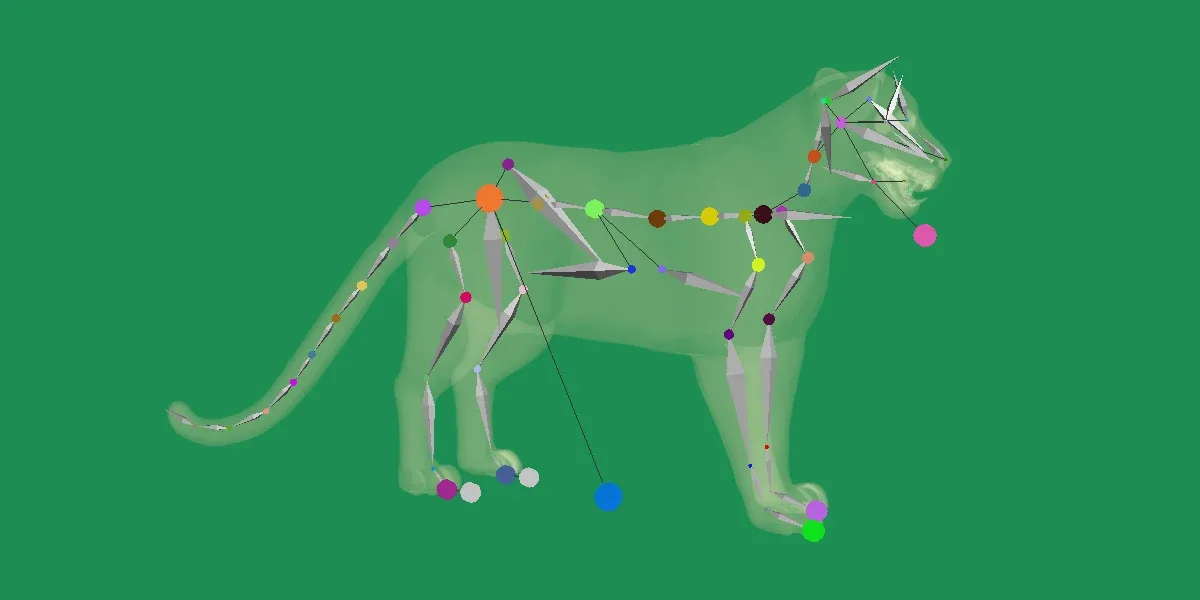 Clouded Leopard Wild Cat