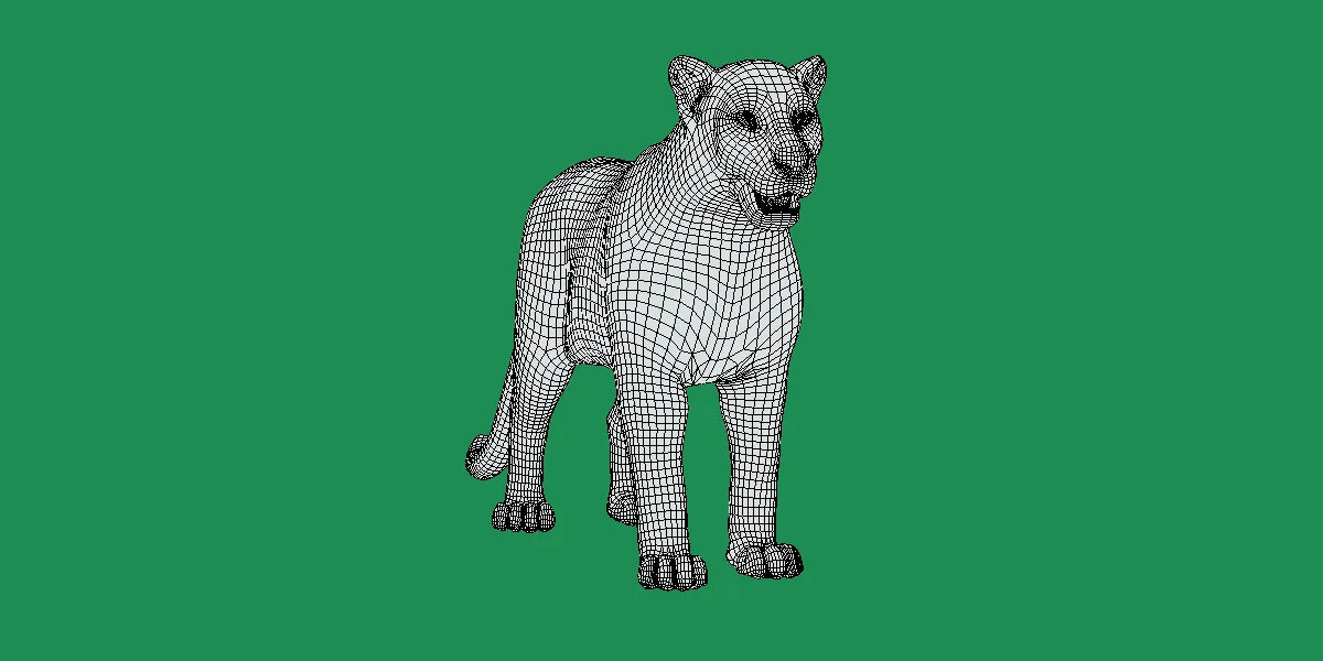 Clouded Leopard Wild Cat