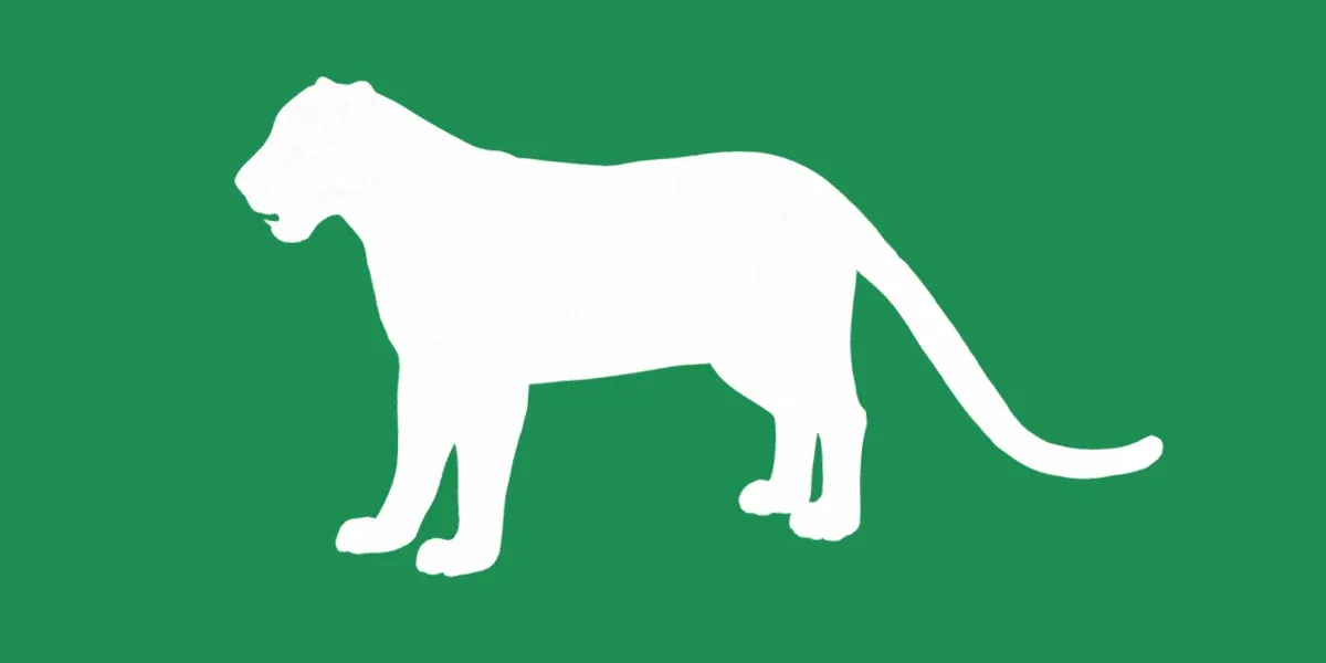 Clouded Leopard Wild Cat