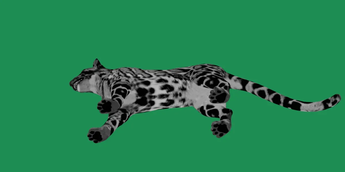 Clouded Leopard Wild Cat