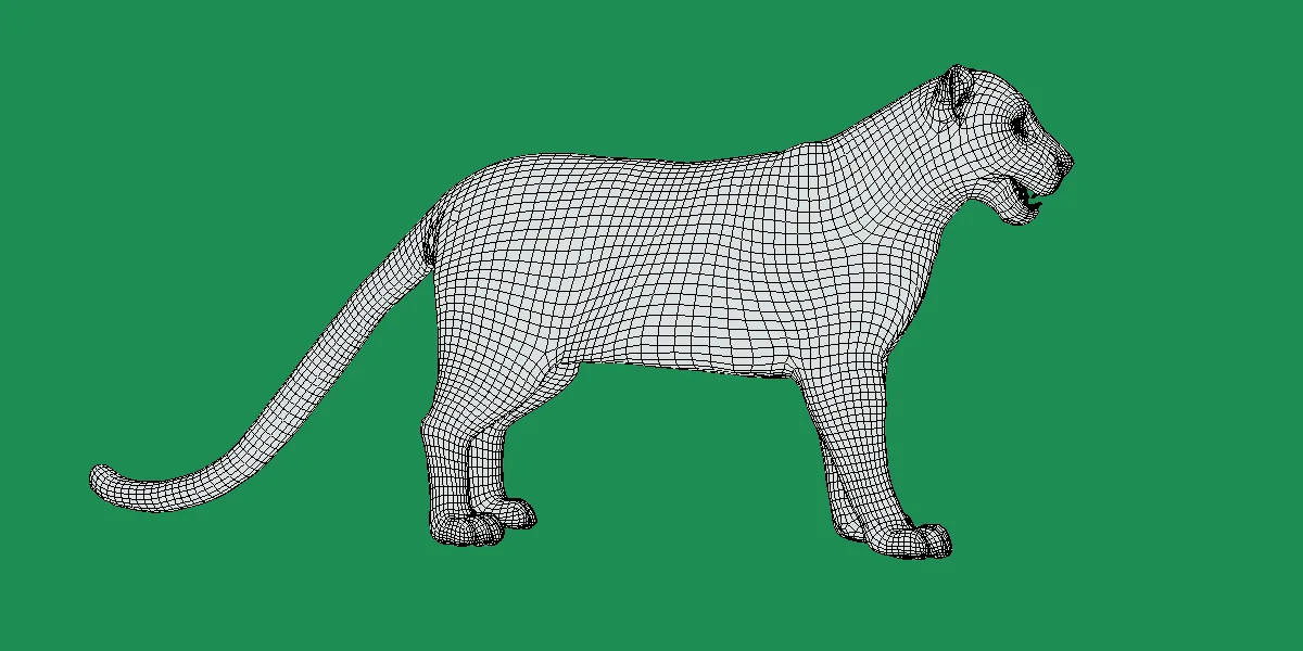 Clouded Leopard Wild Cat