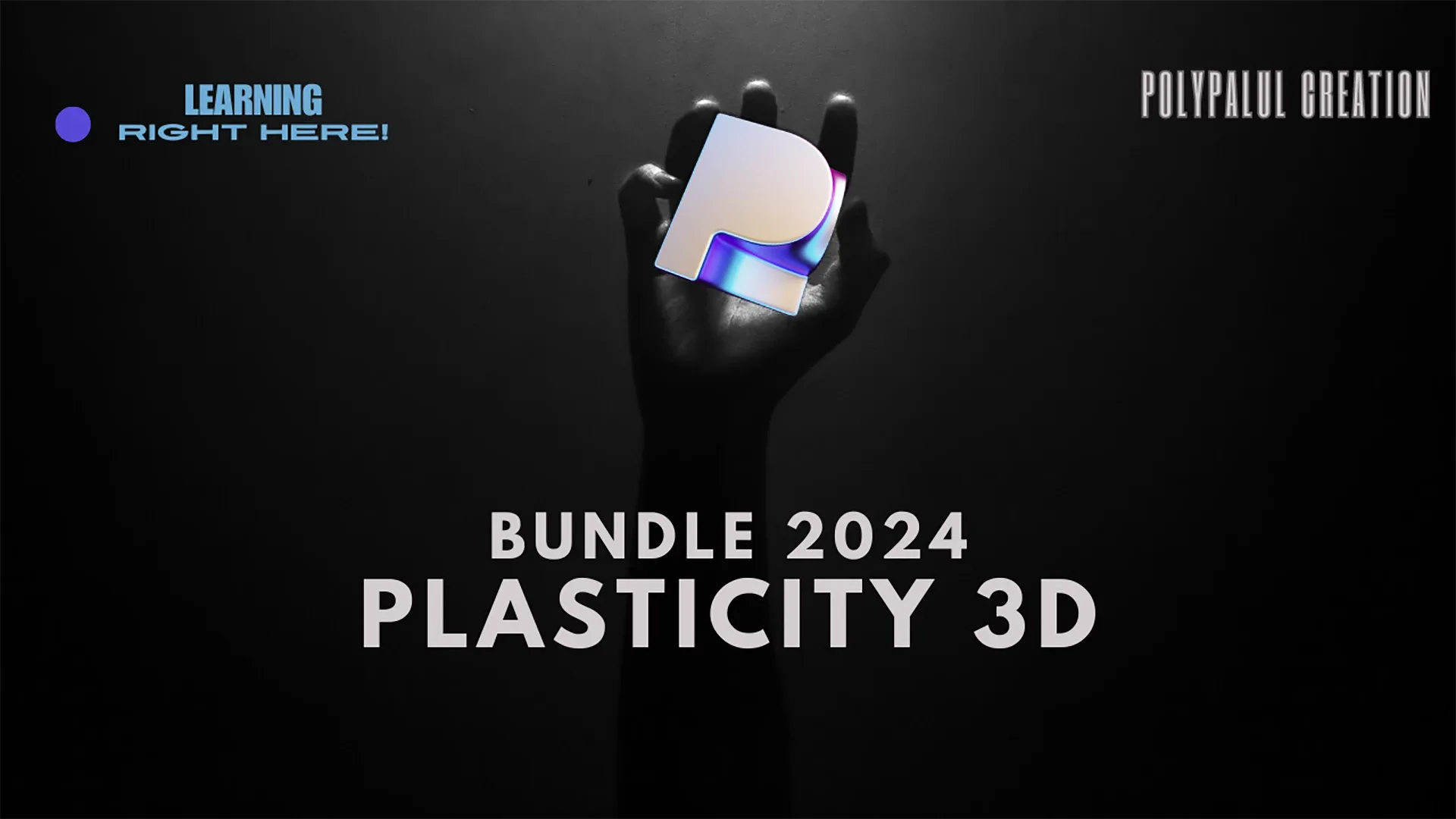 Mastering Plasticity 3D 1.4 bundle 2024.