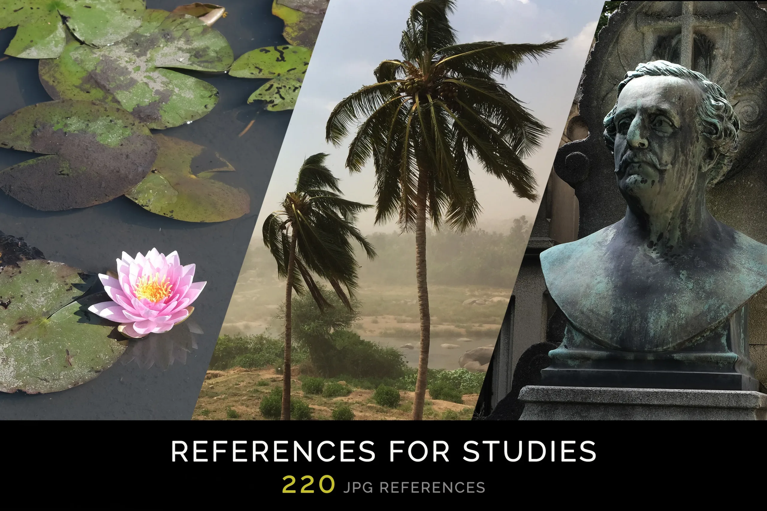 References for Studies