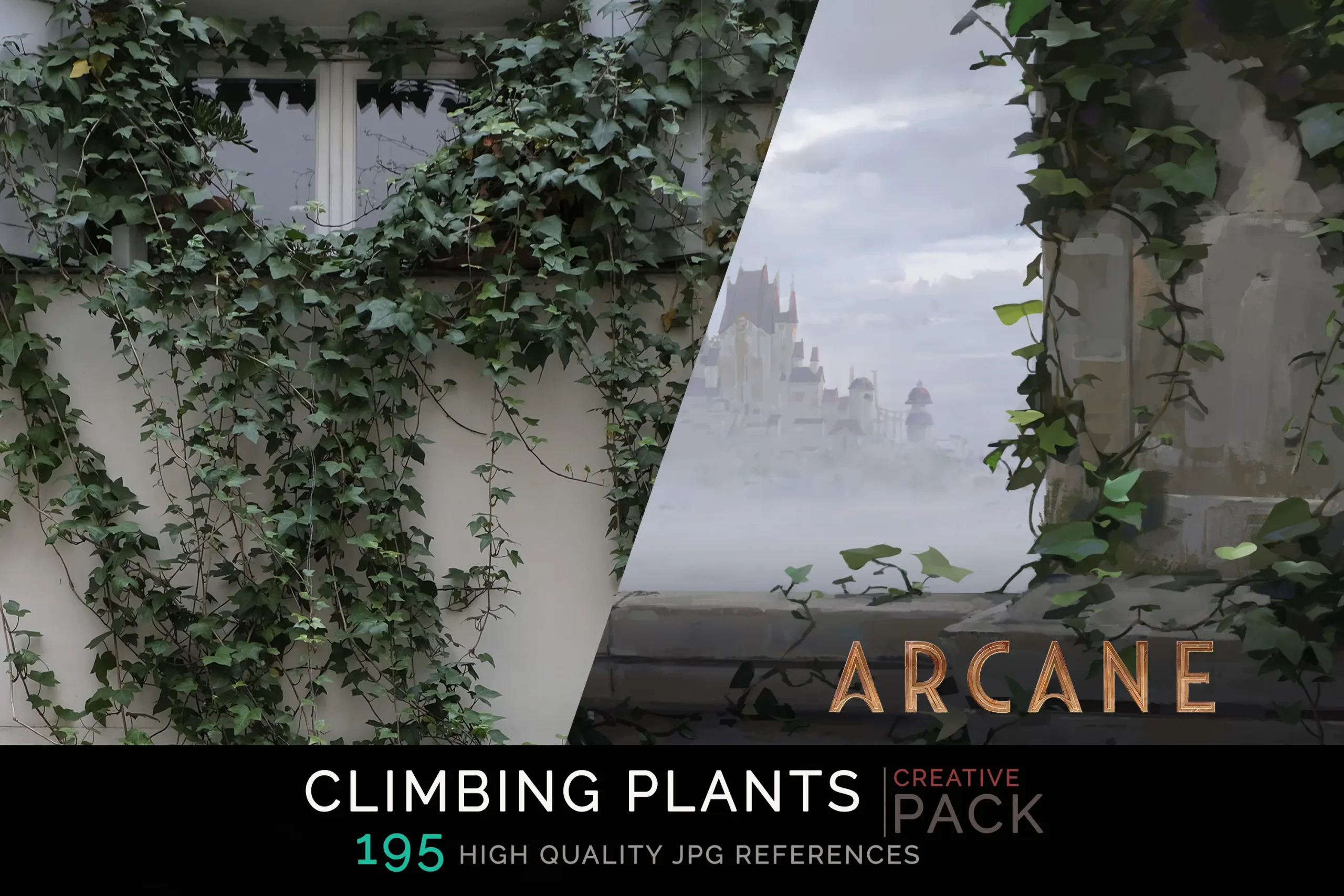 Climbing Plants CREATIVE PACK