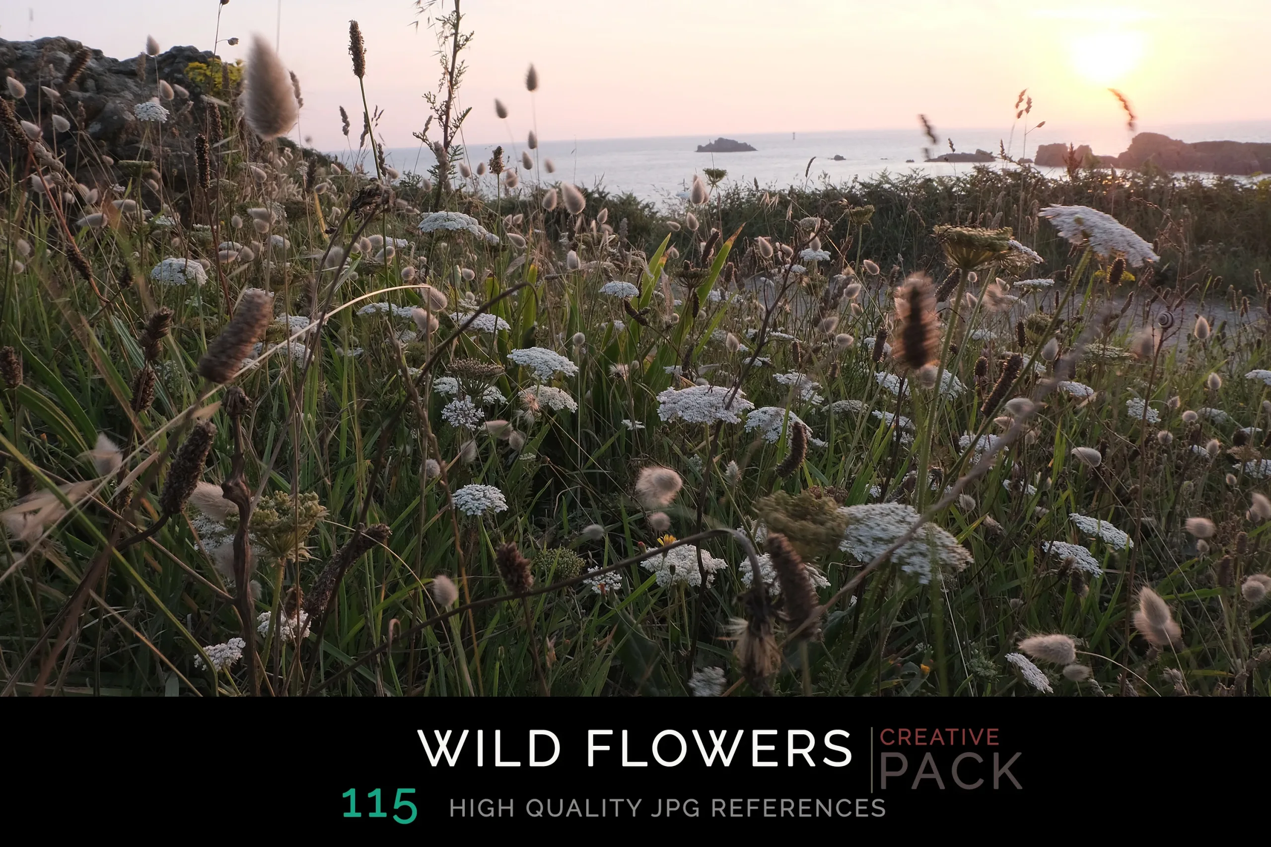 Wild Flowers CREATIVE PACK