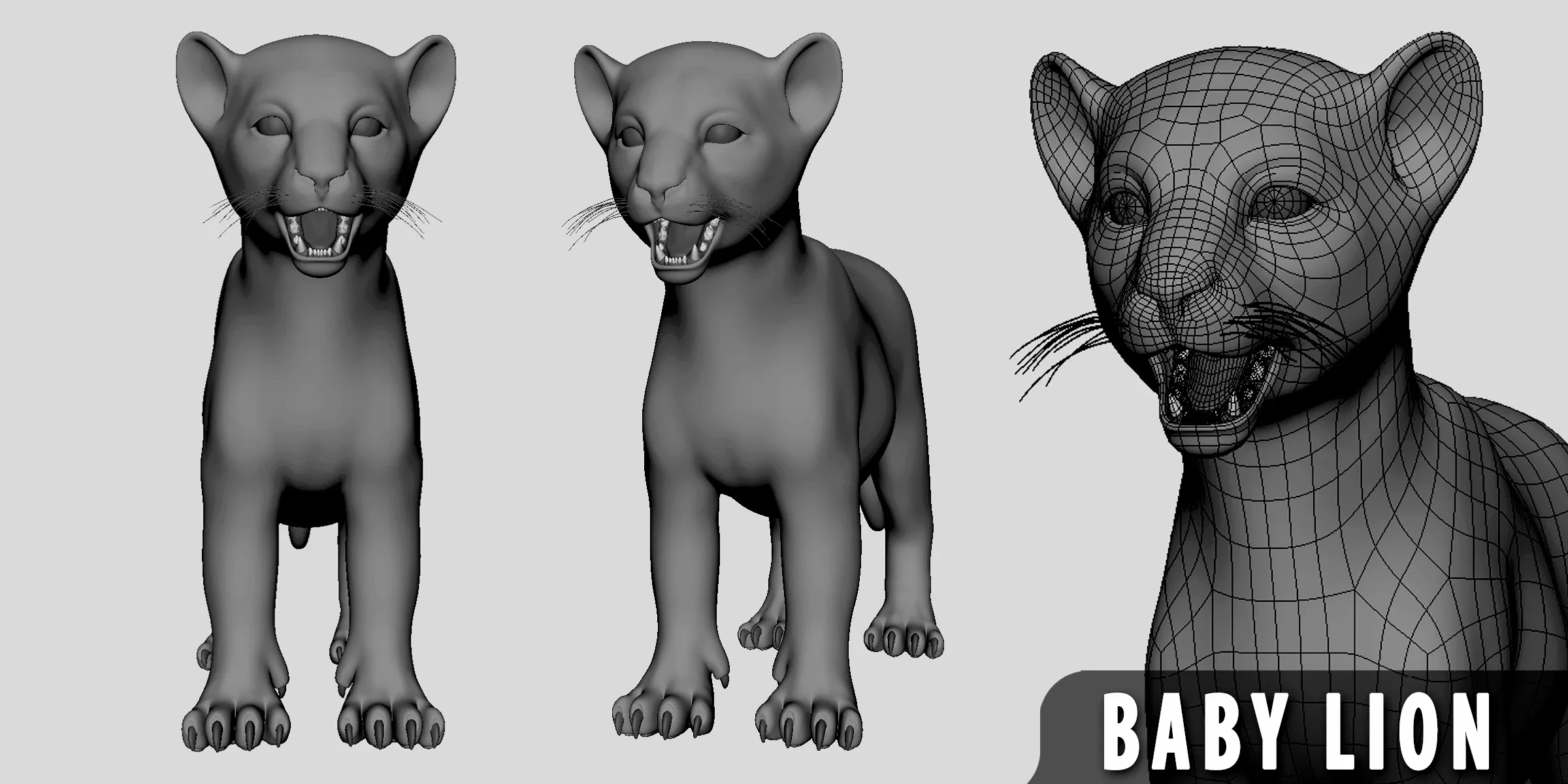 Baby Lion - Topology + UV Map