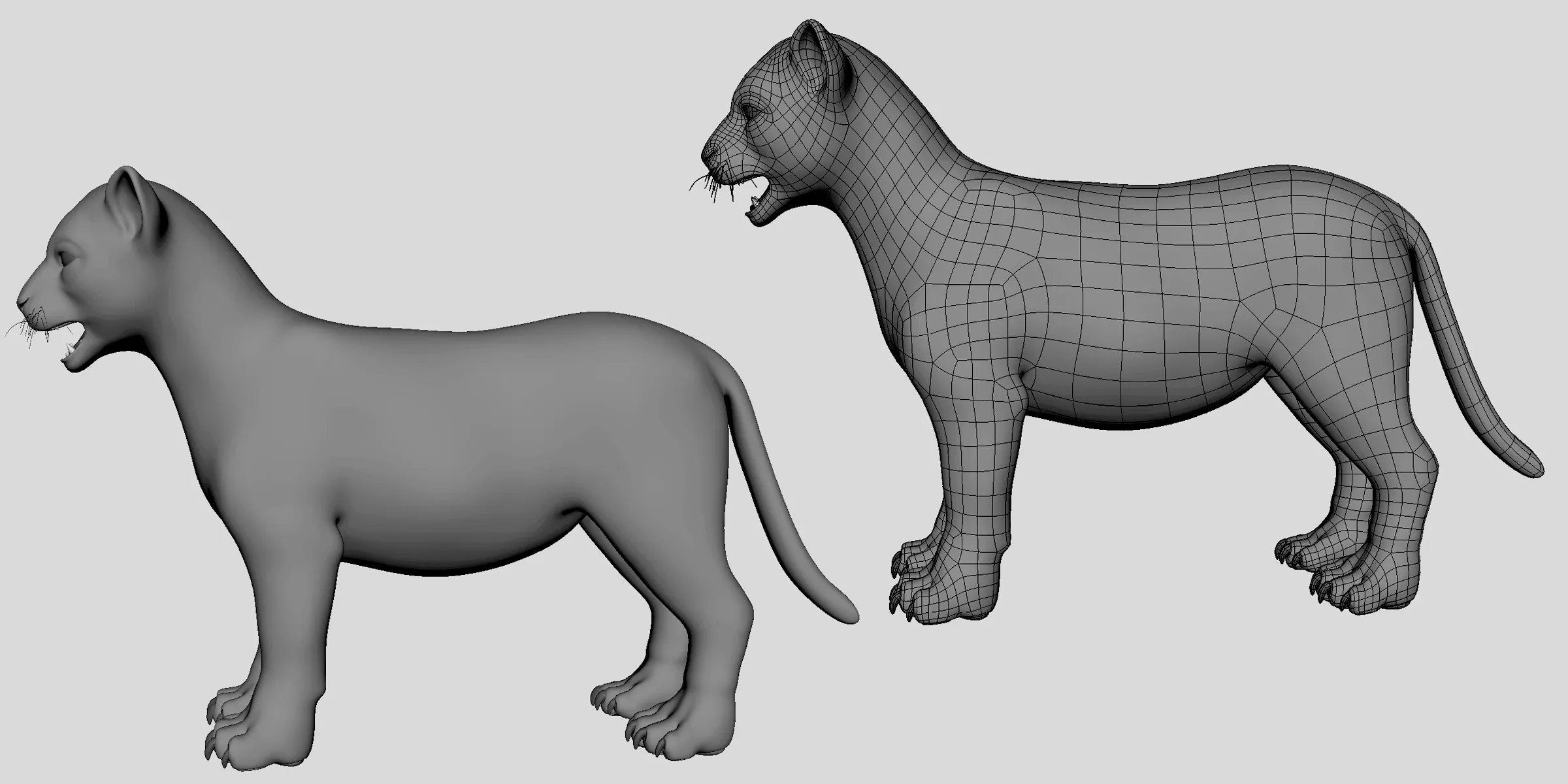 Baby Lion - Topology + UV Map