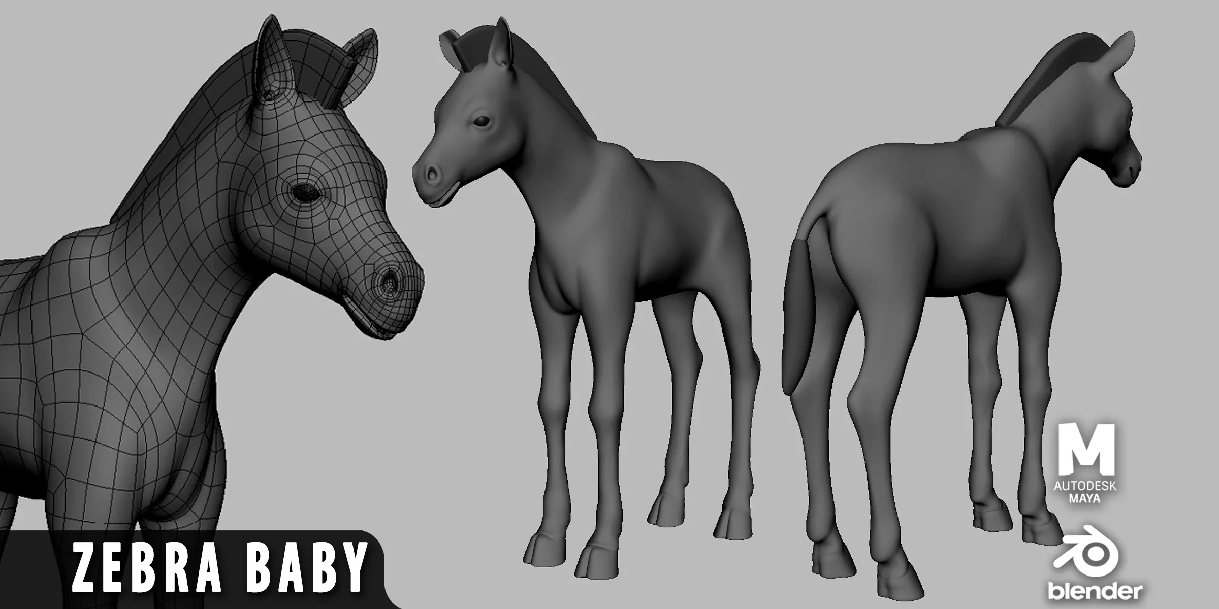 8 Wild Animal Baby - Topology + UV Map