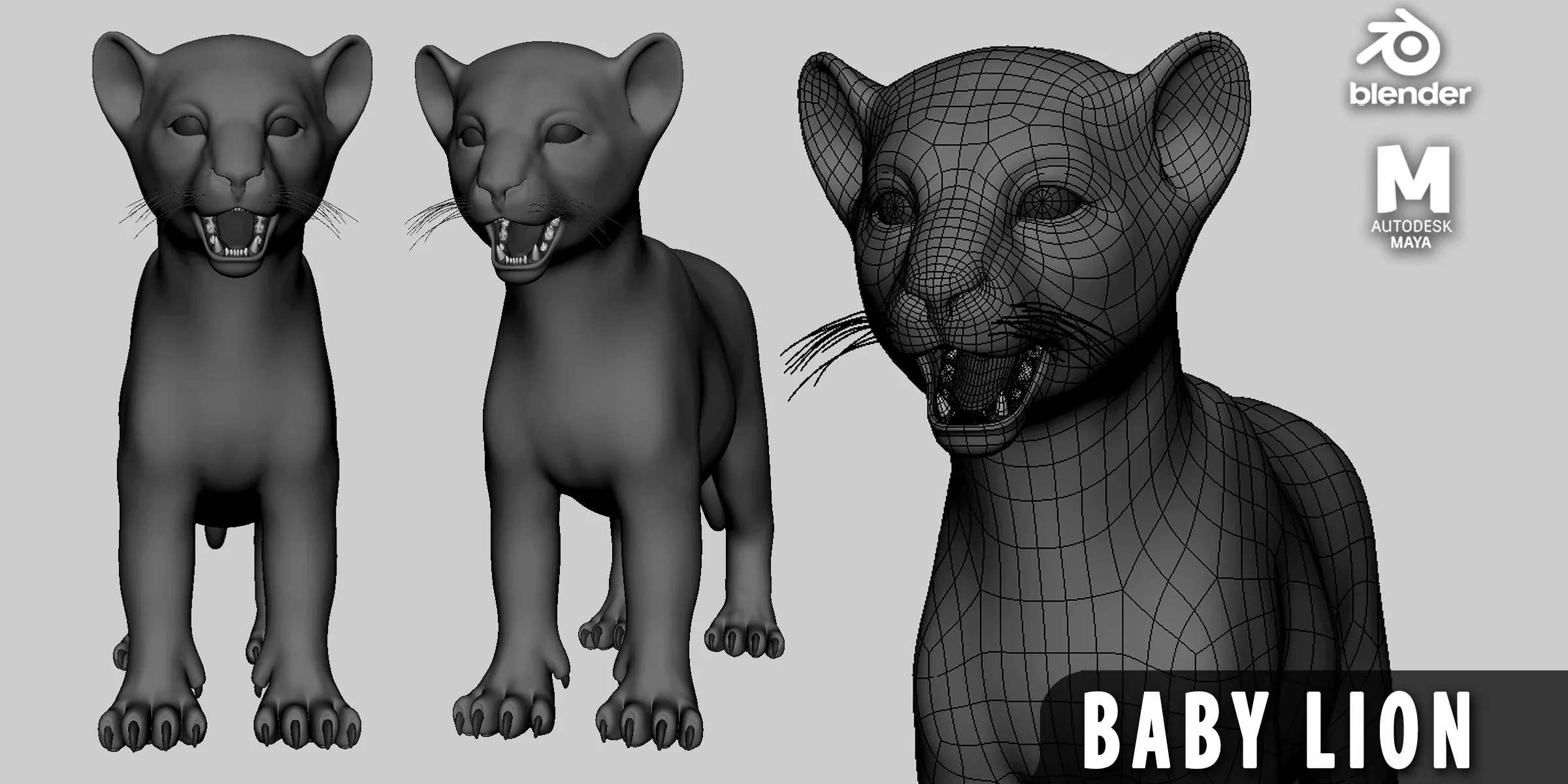 8 Wild Animal Baby - Topology + UV Map