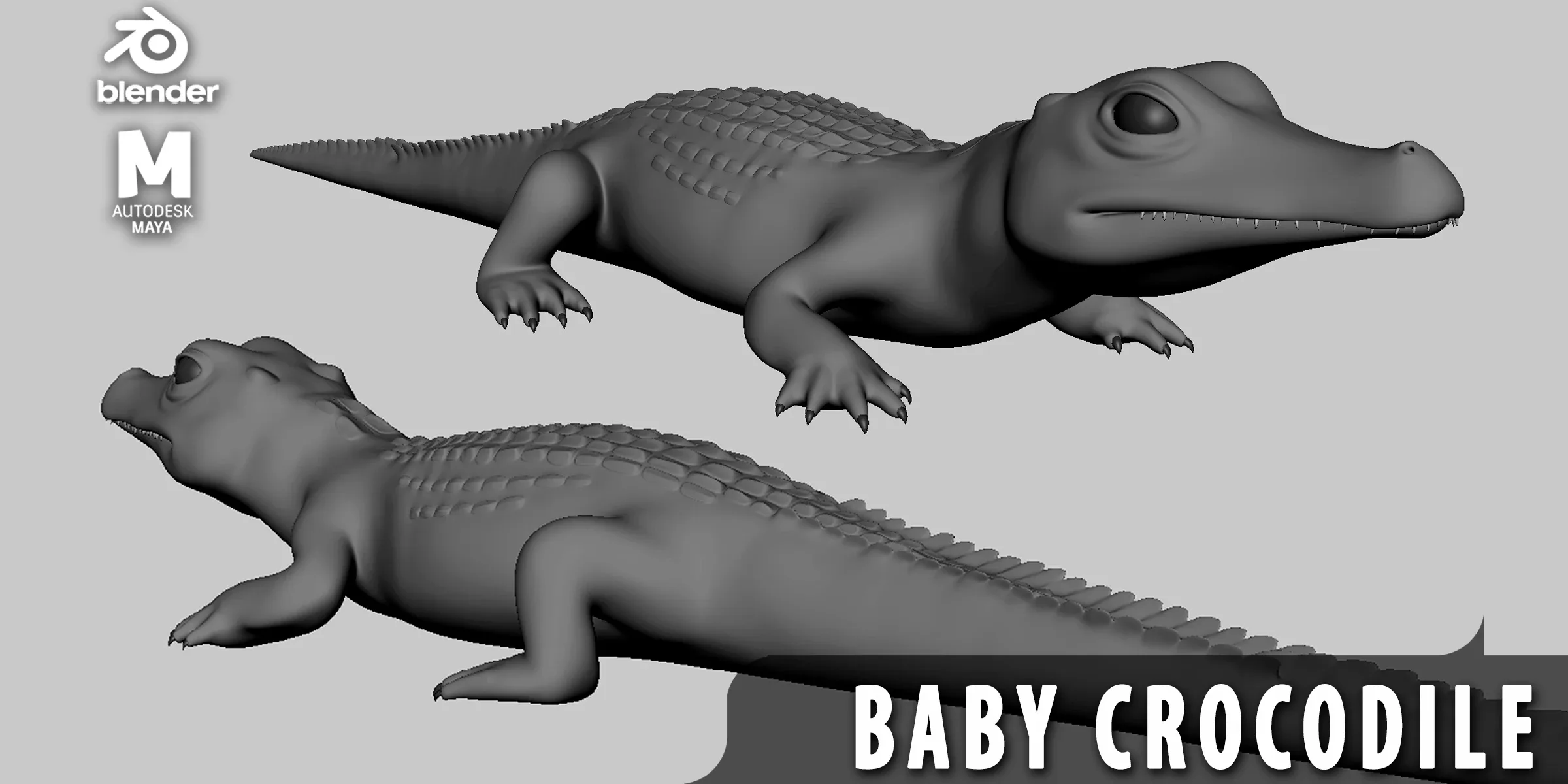 8 Wild Animal Baby - Topology + UV Map