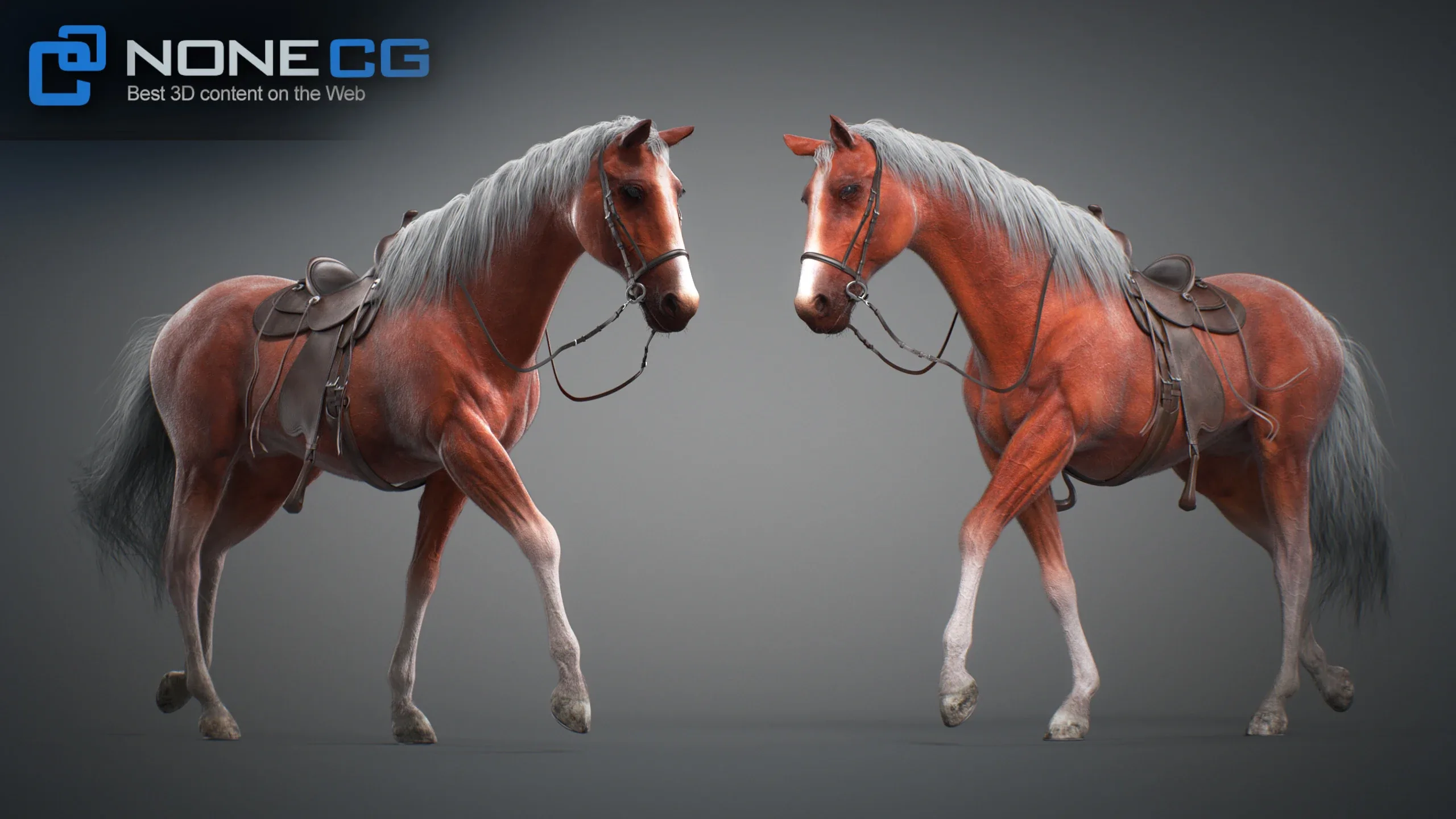Animated Horses