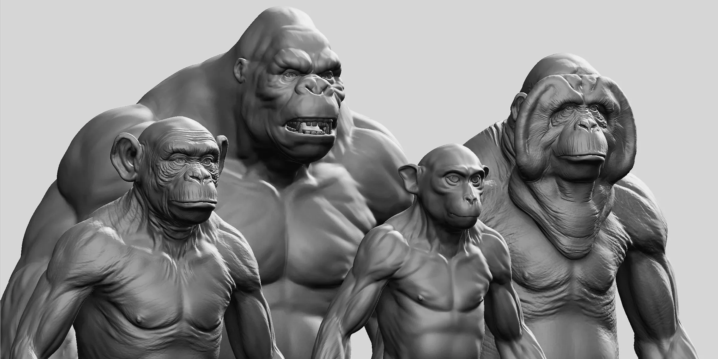 Gorilla - Topology + UV Map