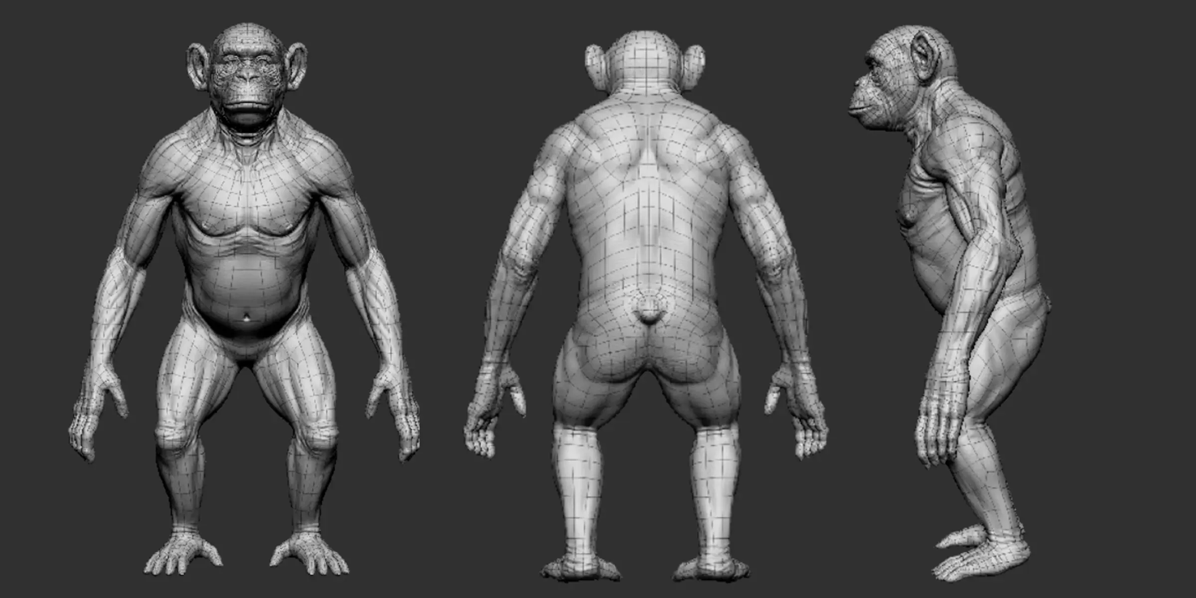 Chimpanzee - Topology + UV Map