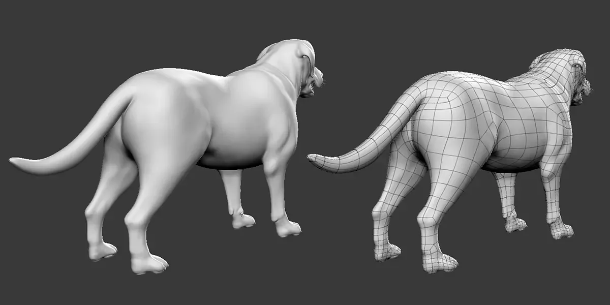 Labrador Dog - Topology + UV Map