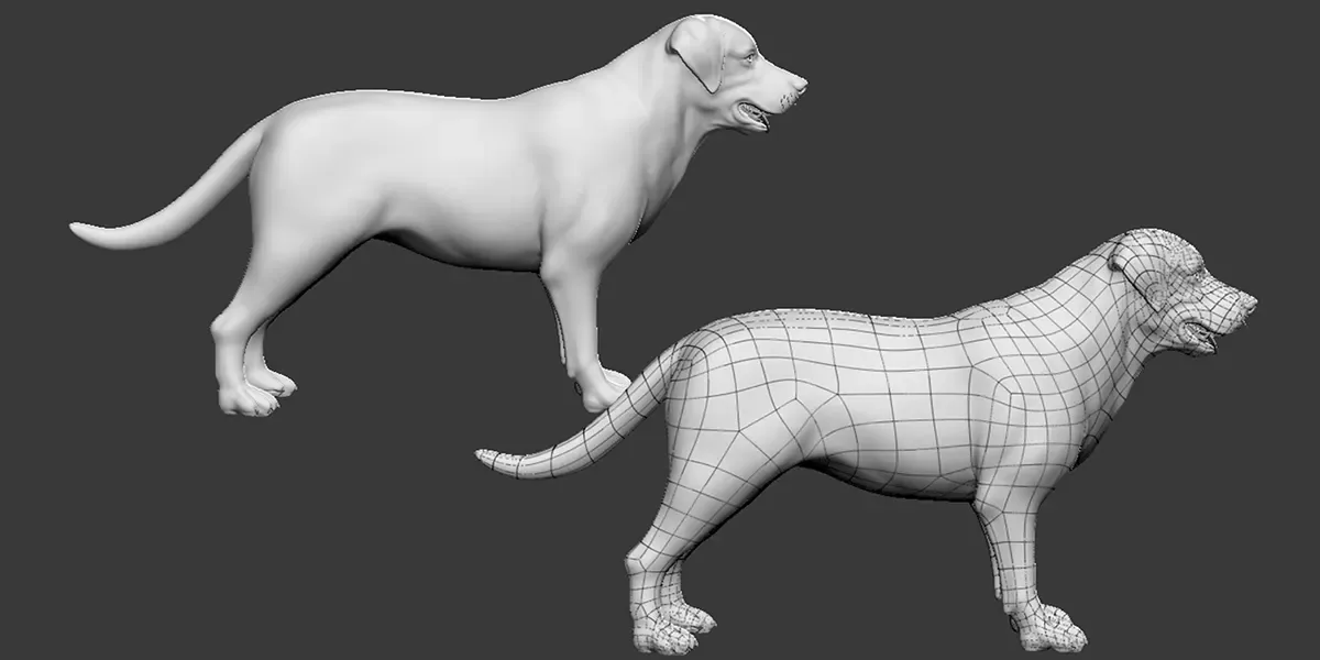 Labrador Dog - Topology + UV Map