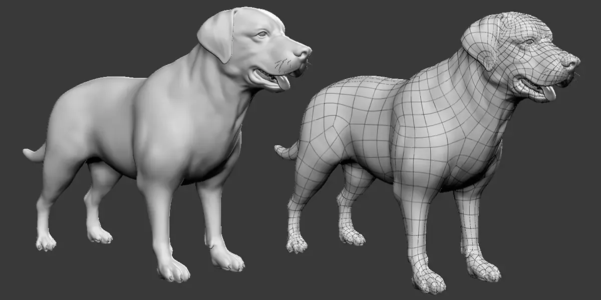 Labrador Dog - Topology + UV Map