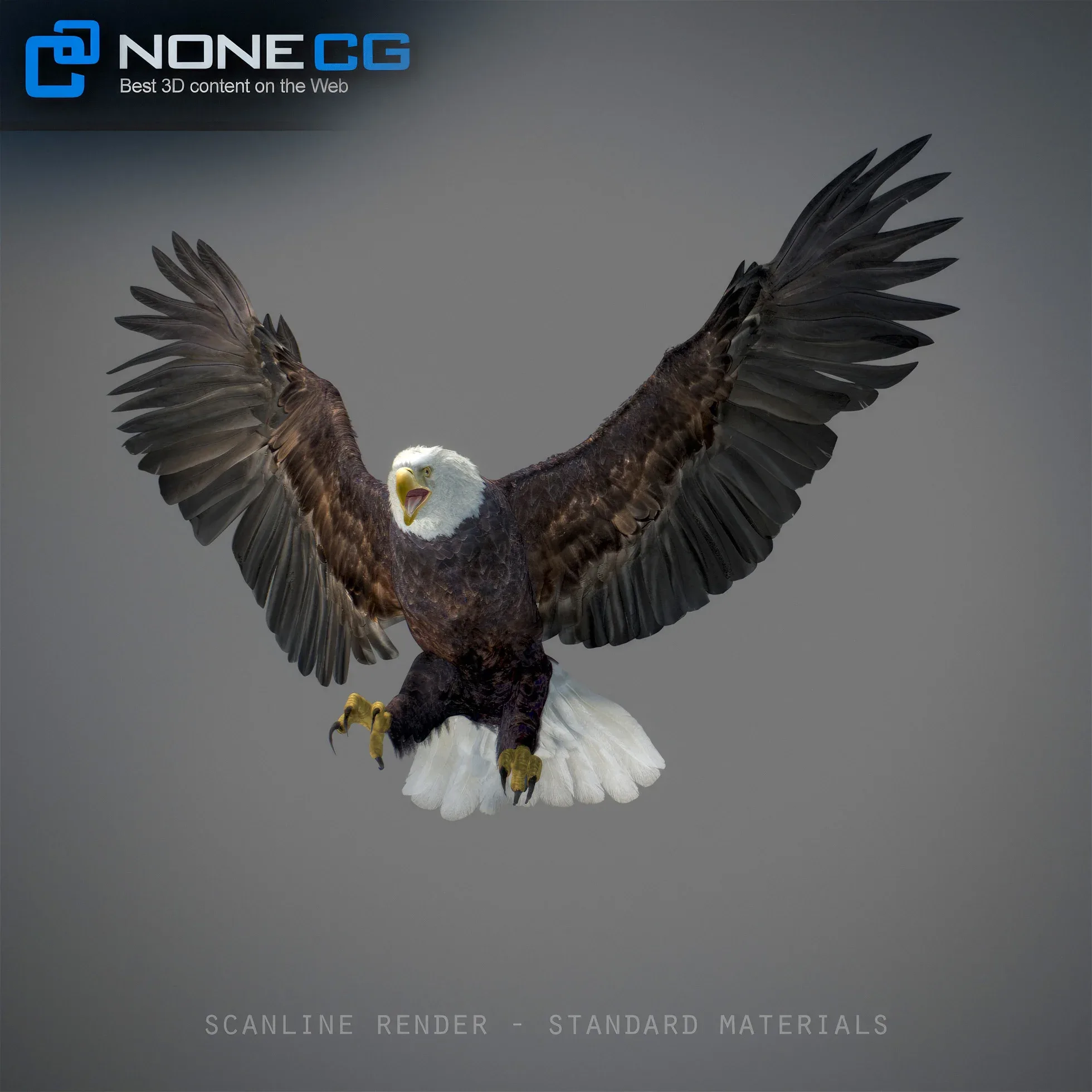 Animated Bald Eagle