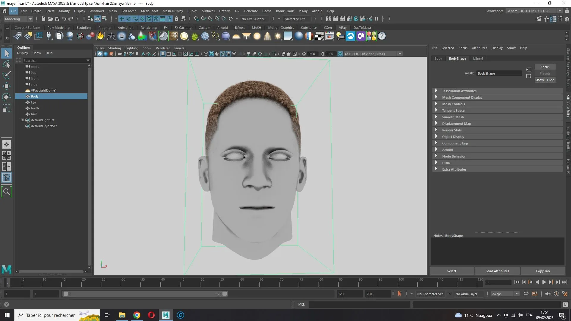 Realistic Hair male
