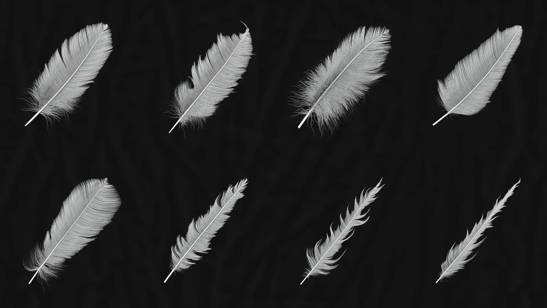 FEATHER TOOL - 4K PBR Tex & Easy Feather Creator For Substance Painter