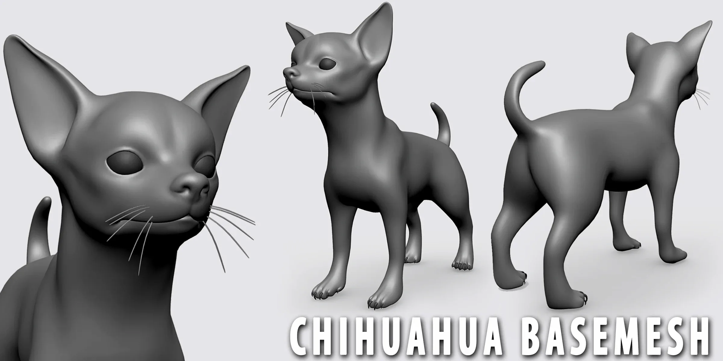 Chihuahua Dog BaseMesh - Topology + UV Map