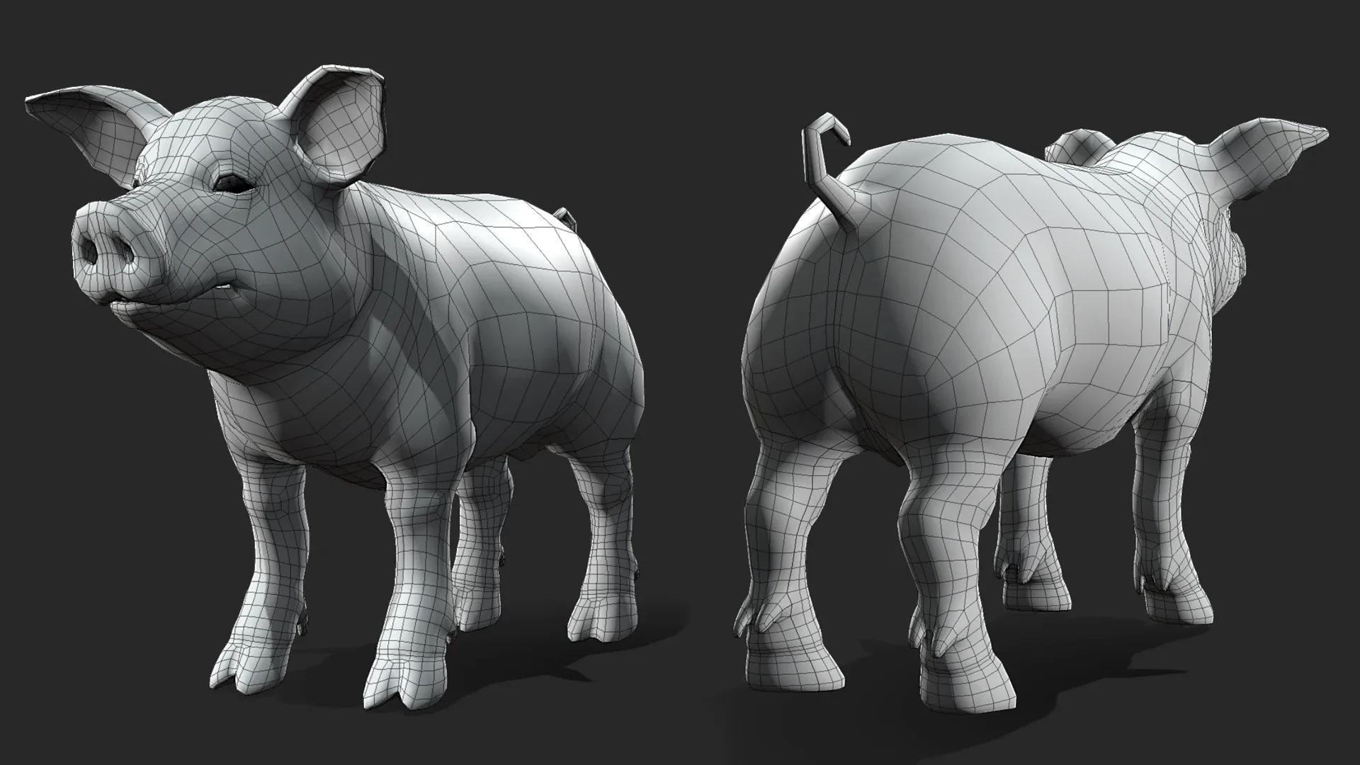 Baby Pig BaseMesh - Topology + UV Map