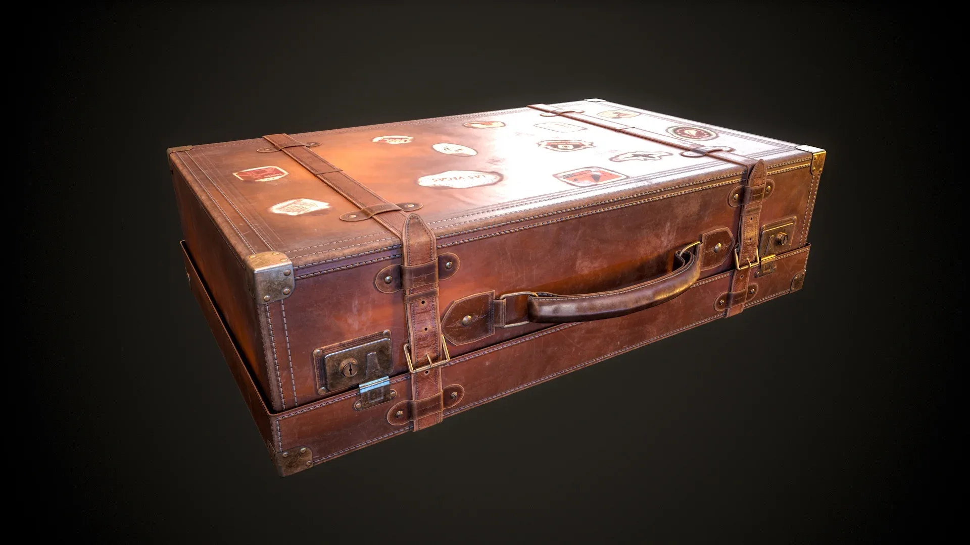 Leather SuitCase