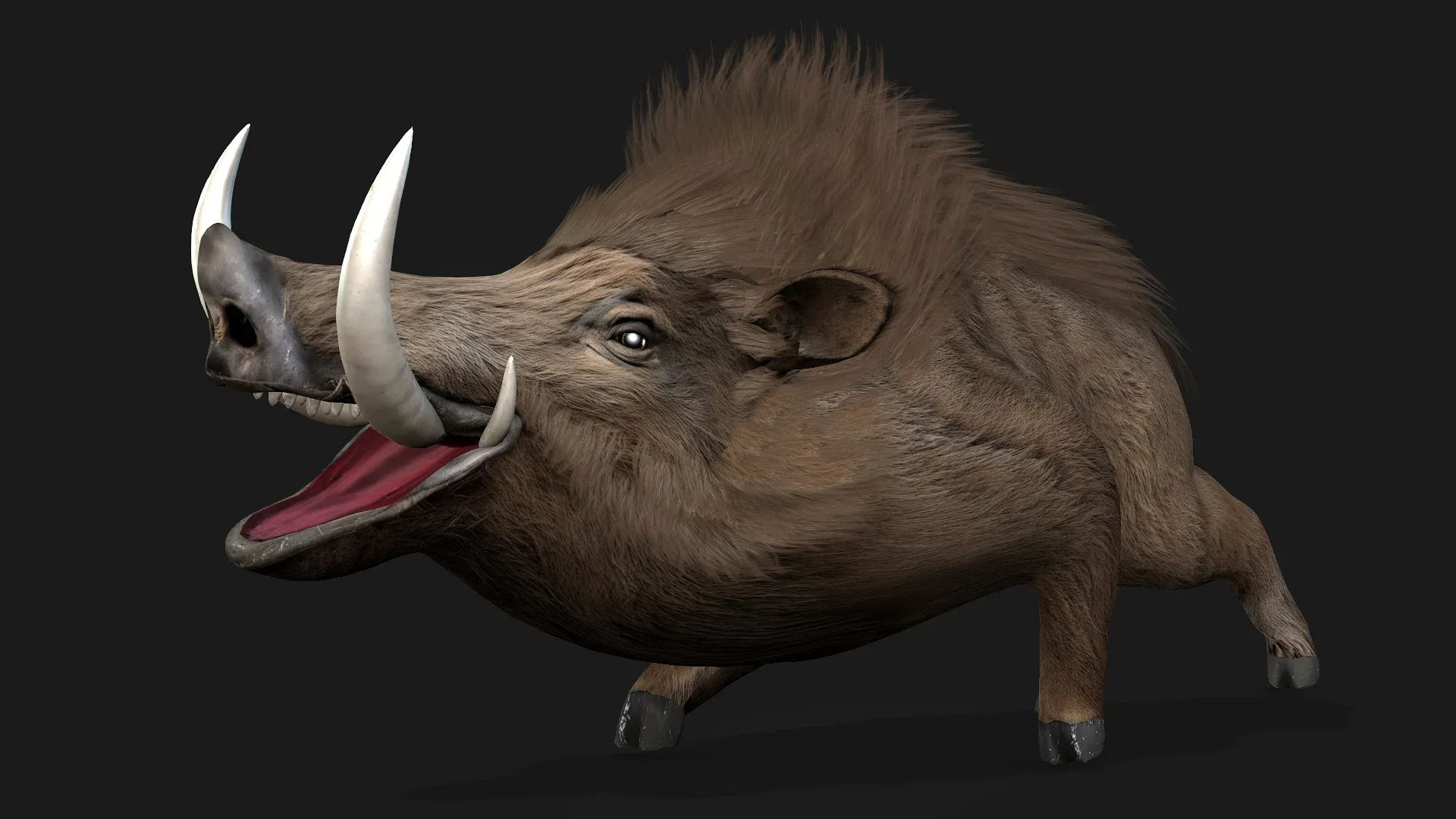 Boar_A2
