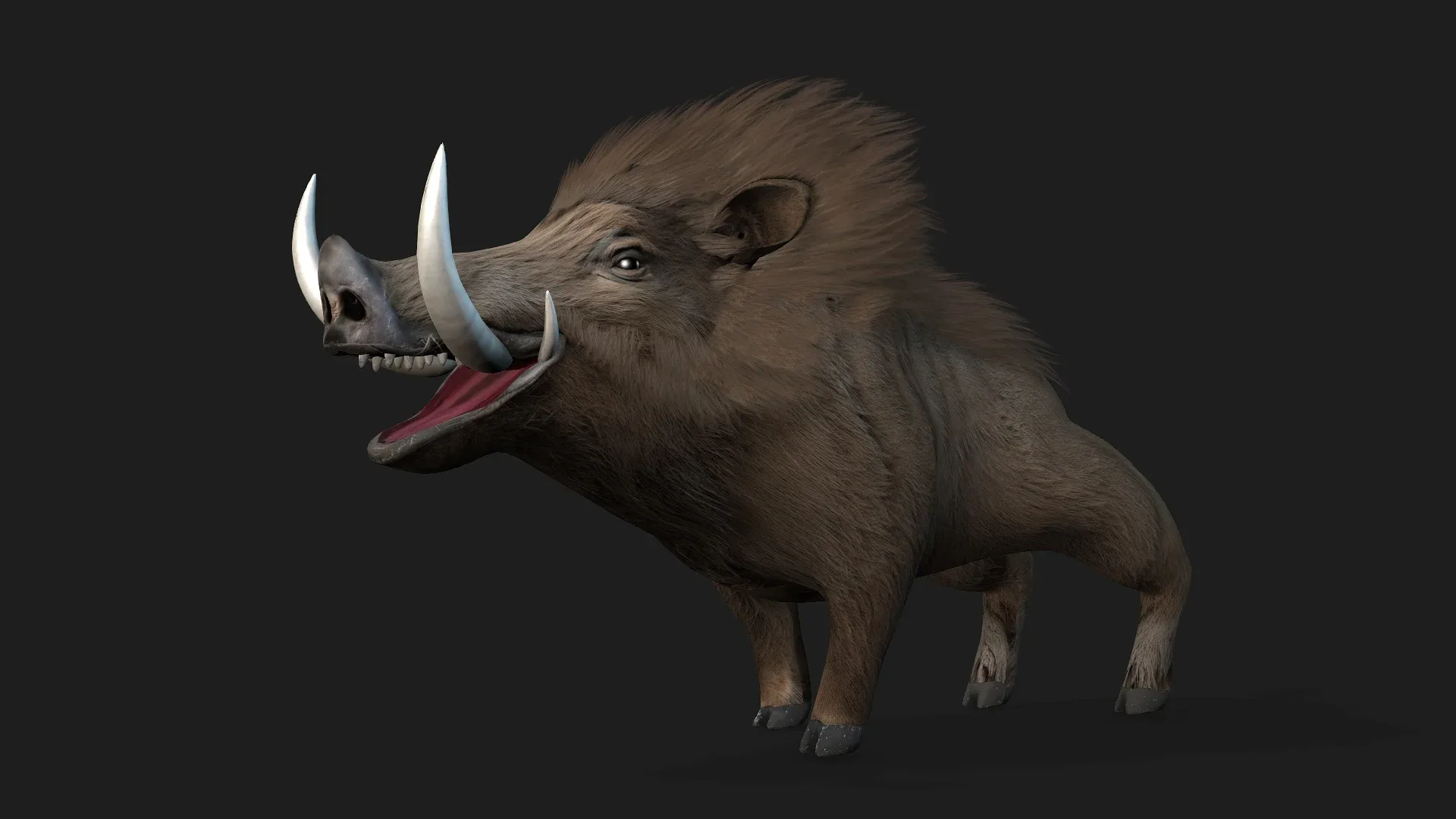 Boar_A2