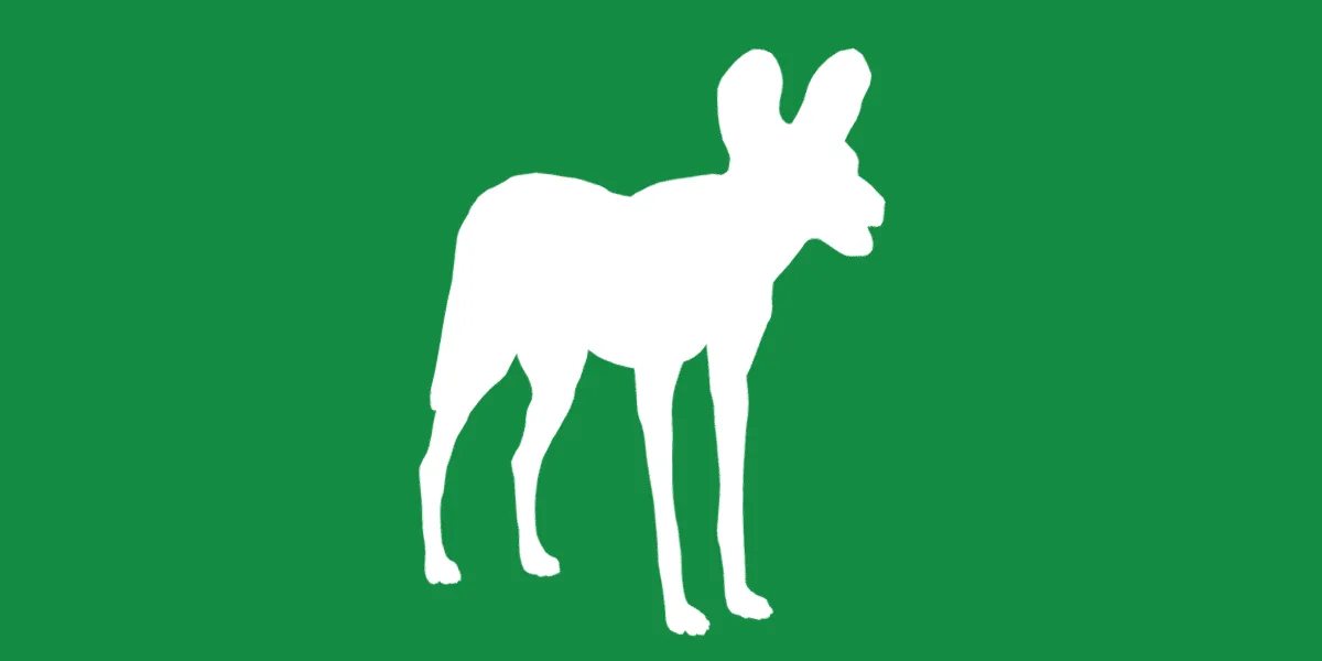 African Wild Dog