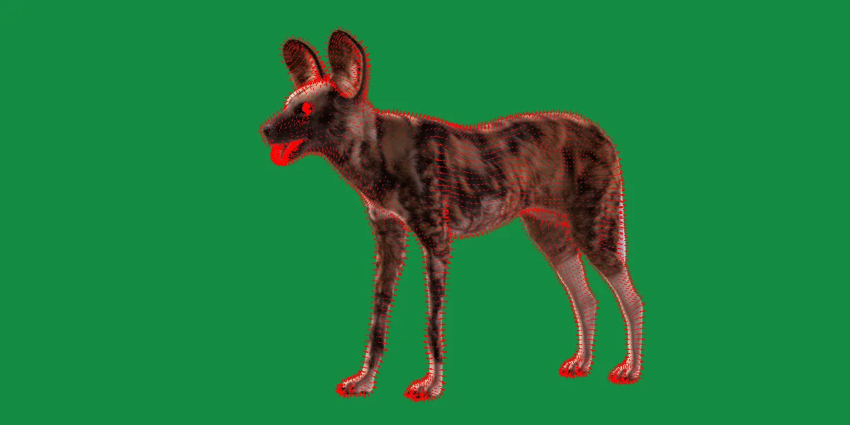 African Wild Dog