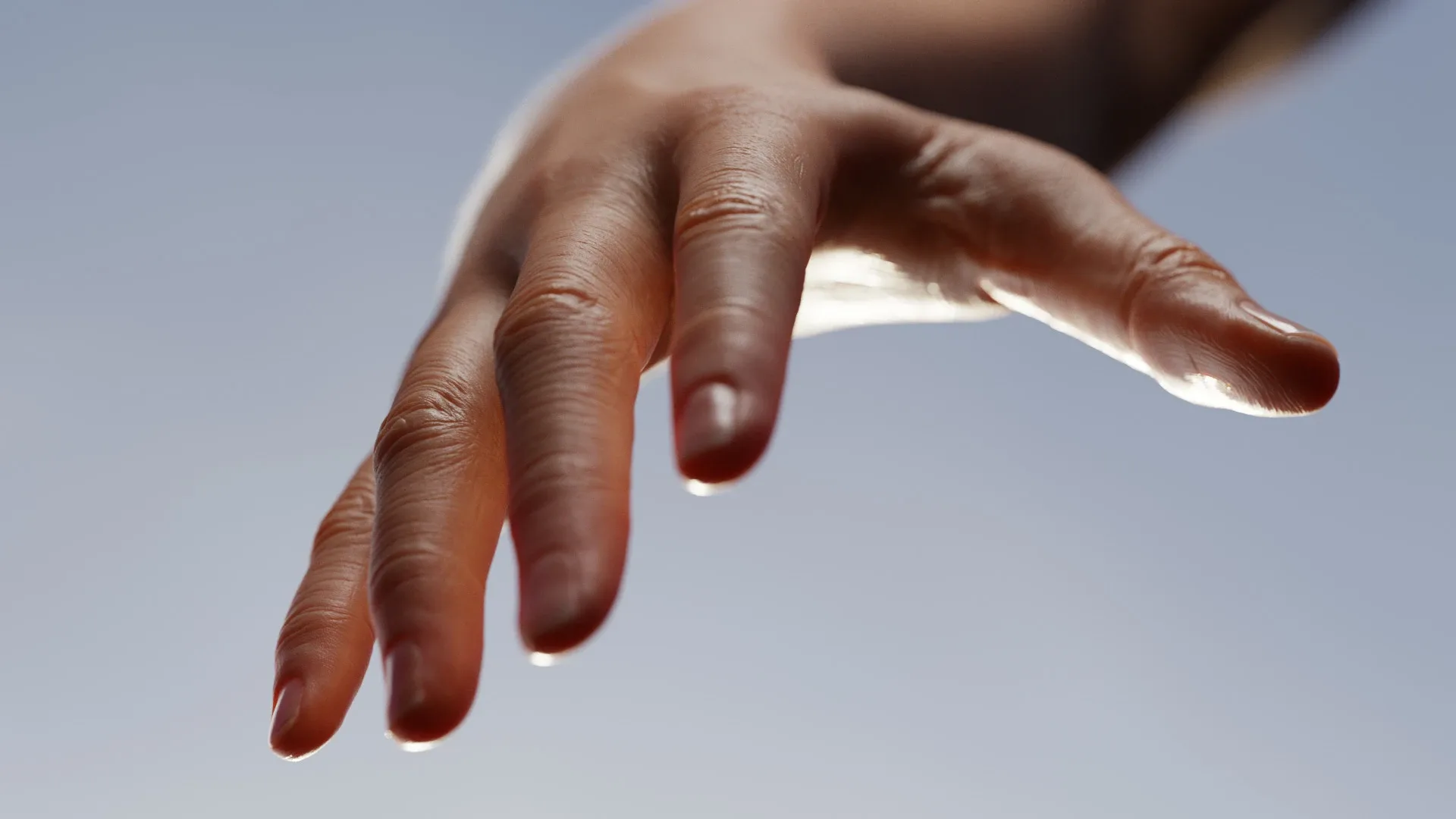 High Resolution Human Arm - Female