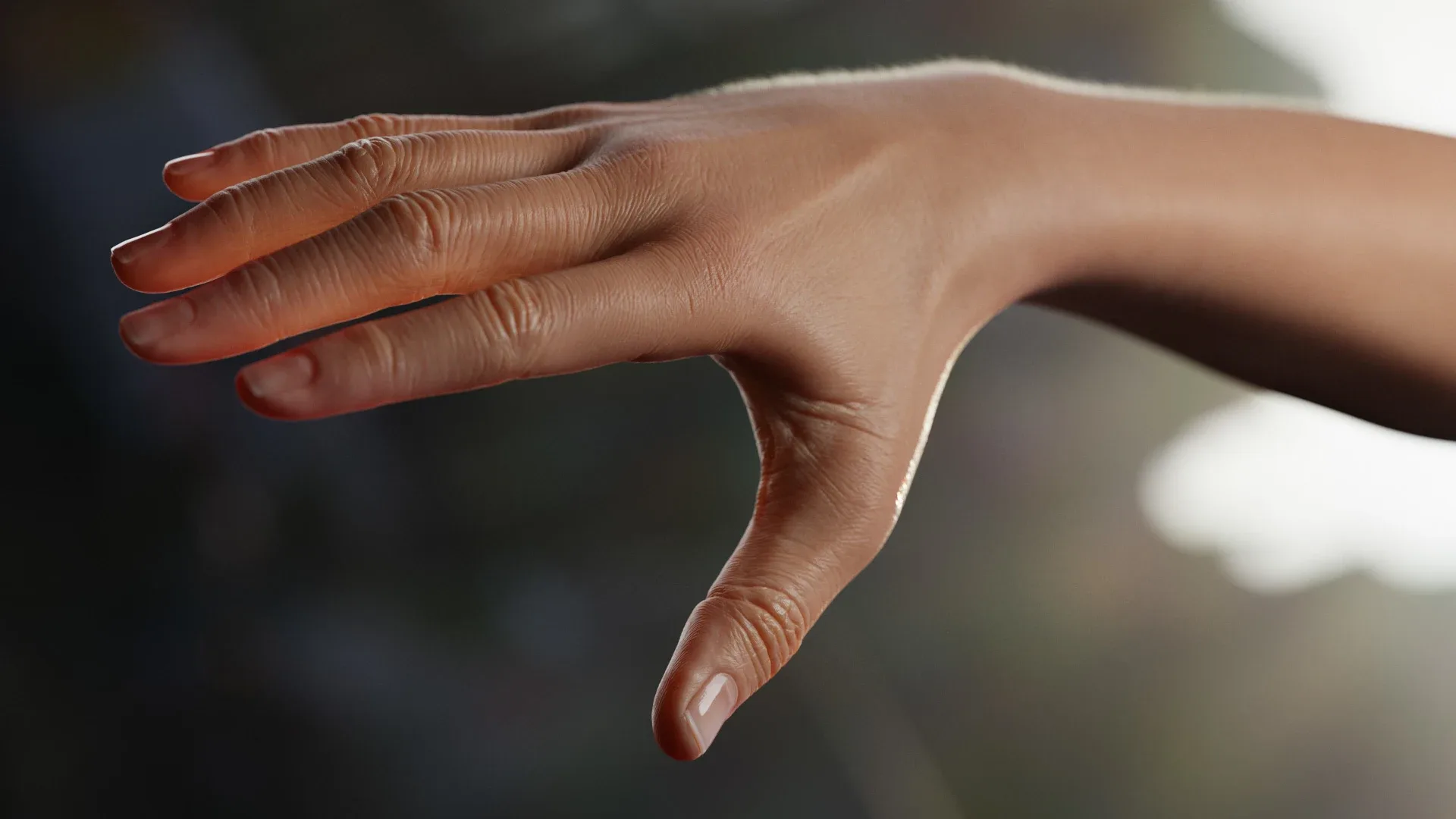 High Resolution Human Arm - Female