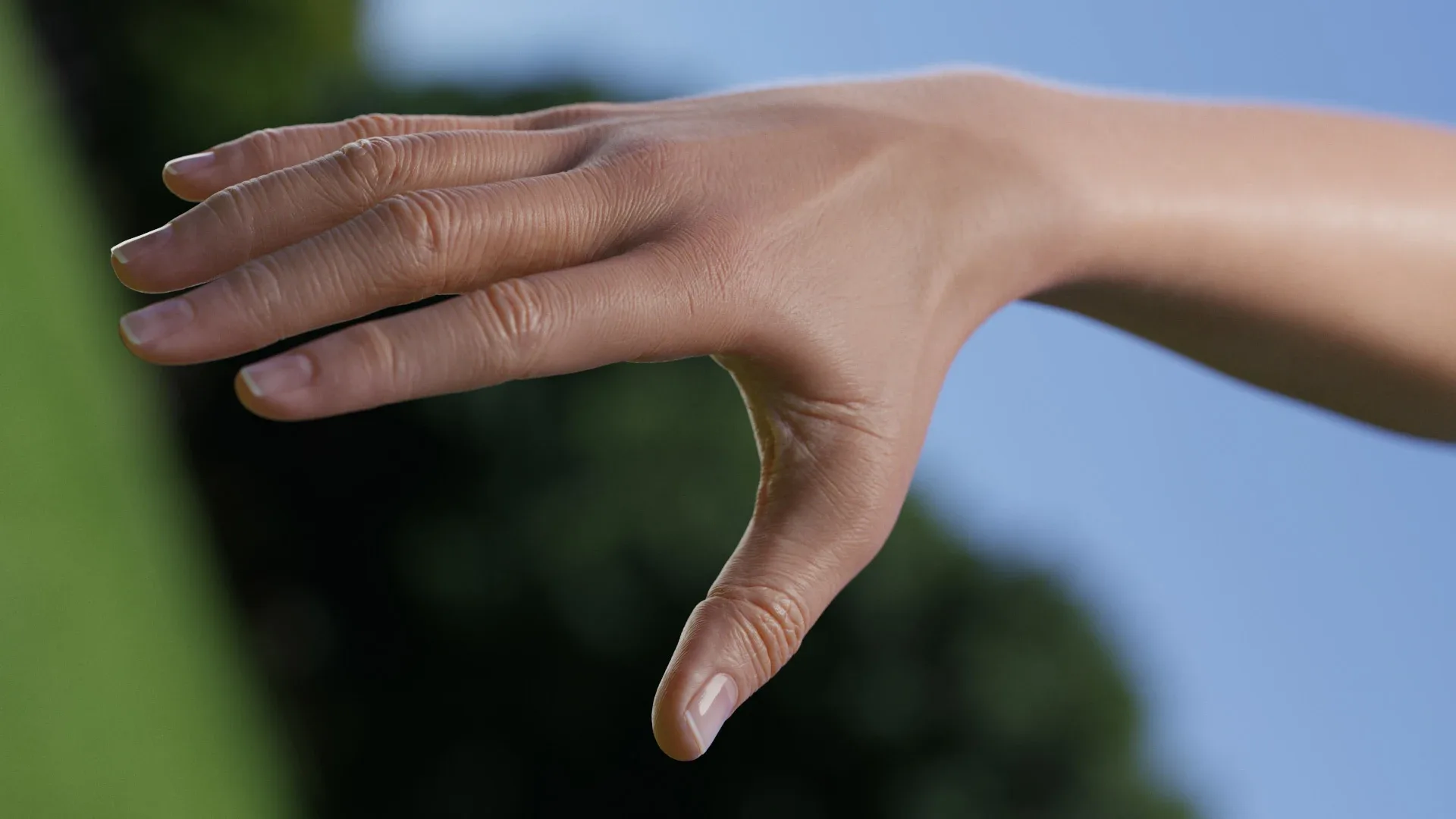 High Resolution Human Arm - Female
