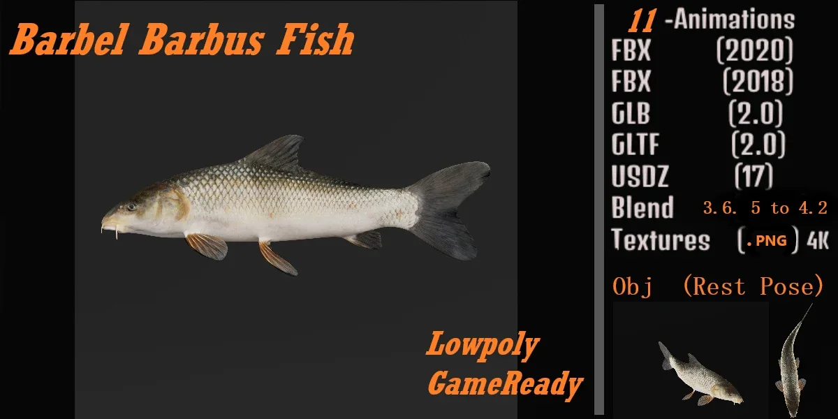 Barbus Barbel Fish