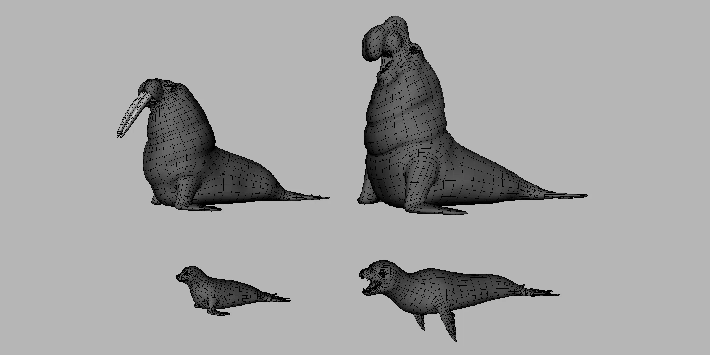 4 Seal Pack  - Topology + UV Map
