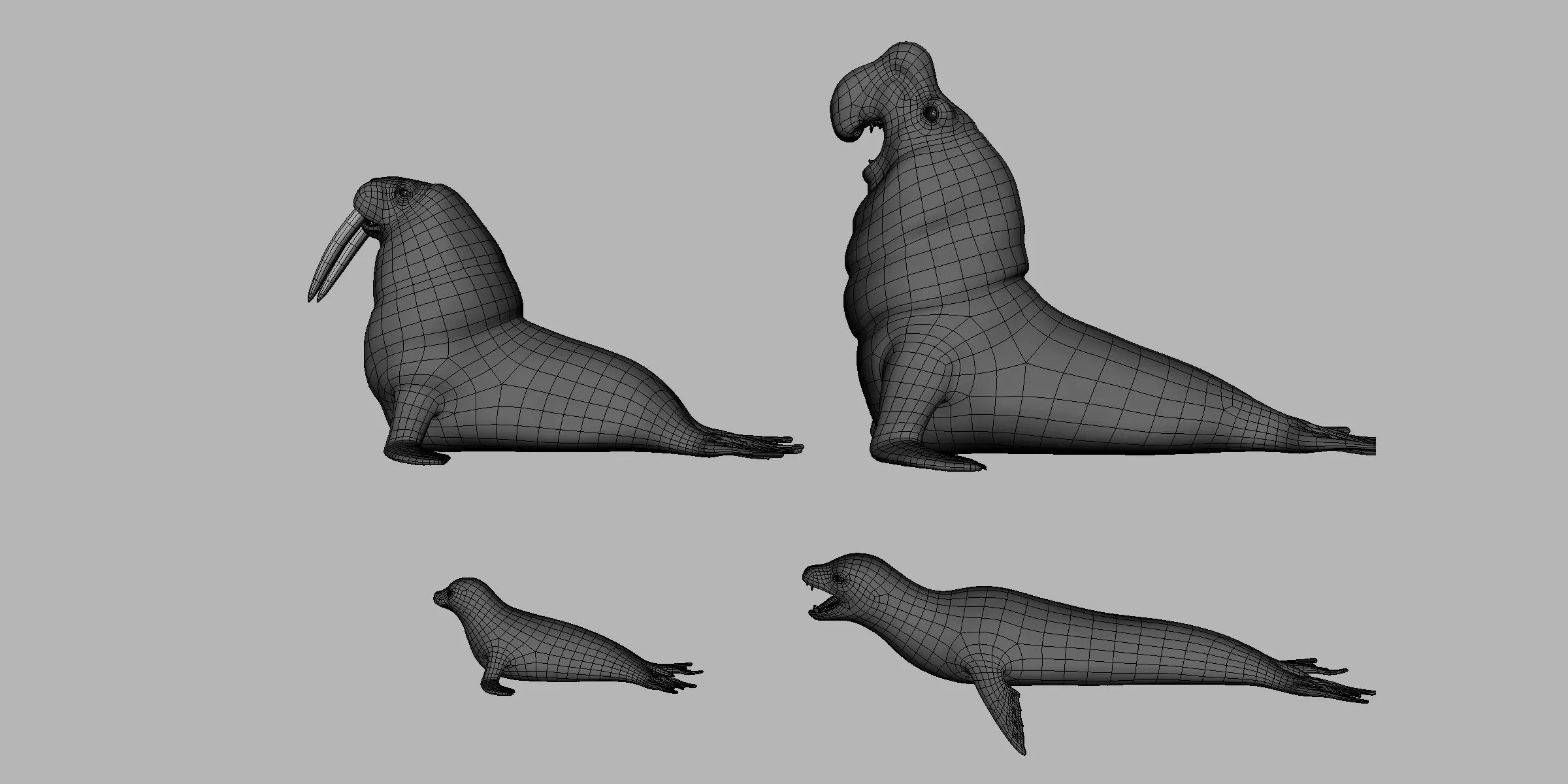 4 Seal Pack  - Topology + UV Map