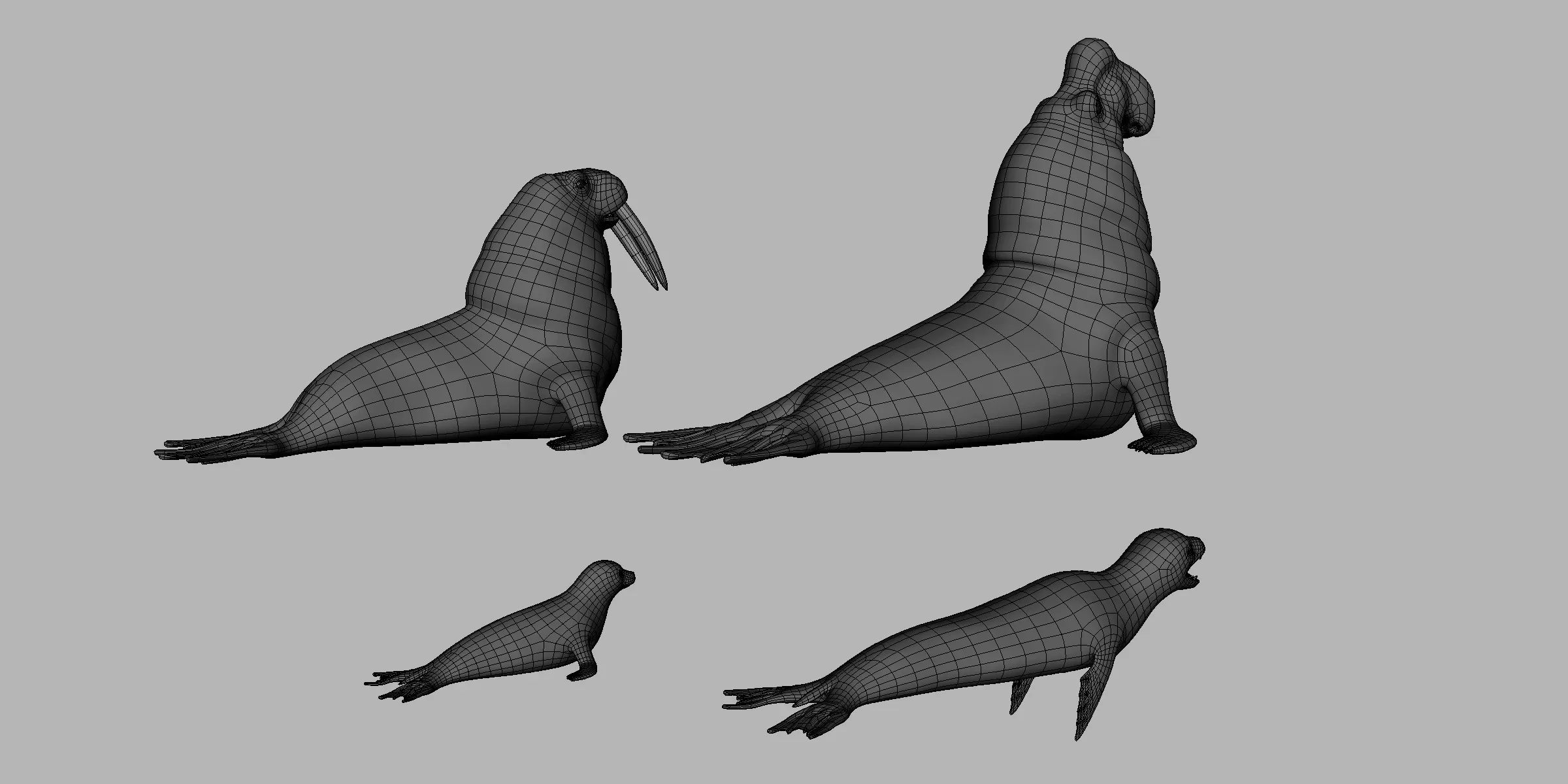 4 Seal Pack  - Topology + UV Map