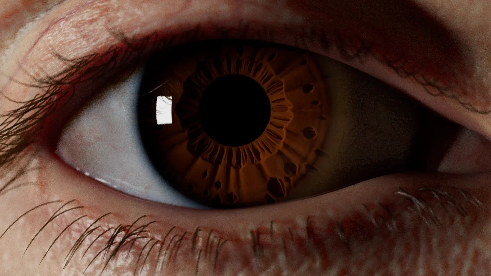 IrisGen - Procedural Iris Geometry Generator for Houdini