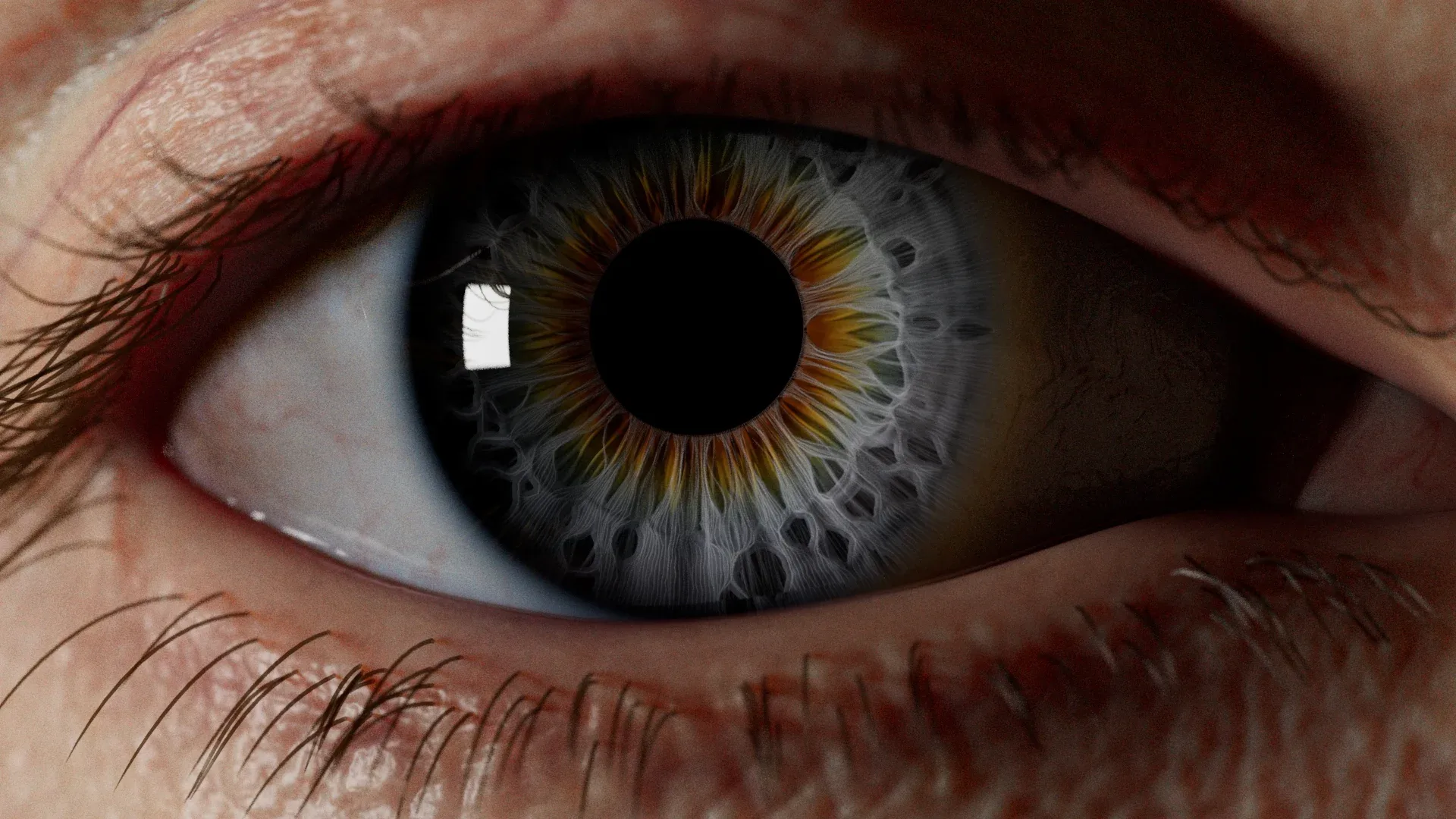 IrisGen - Procedural Iris Geometry Generator for Houdini